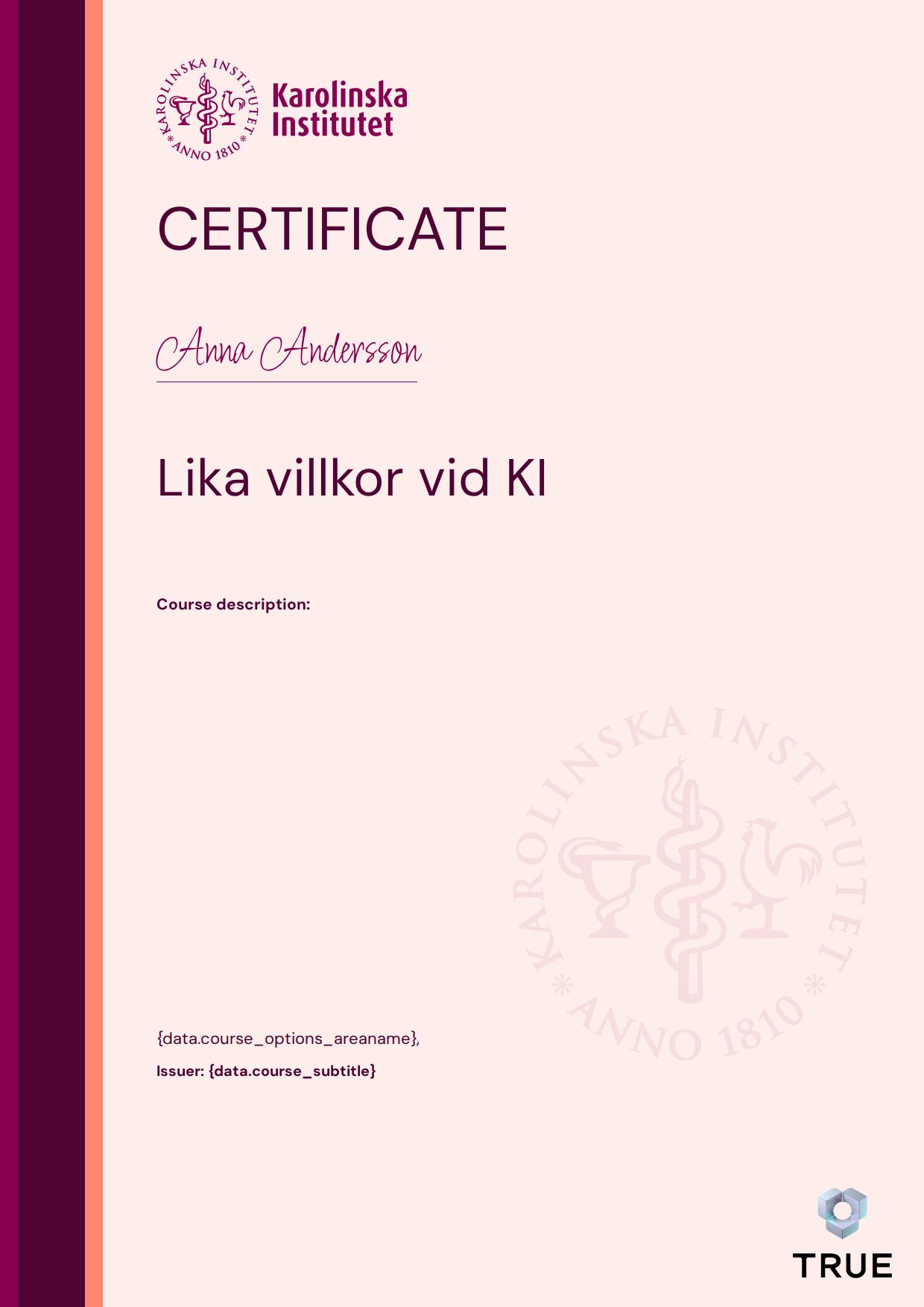 Exempel: diplom för Lika villkor vid KI från KI - Karolinska Institutet