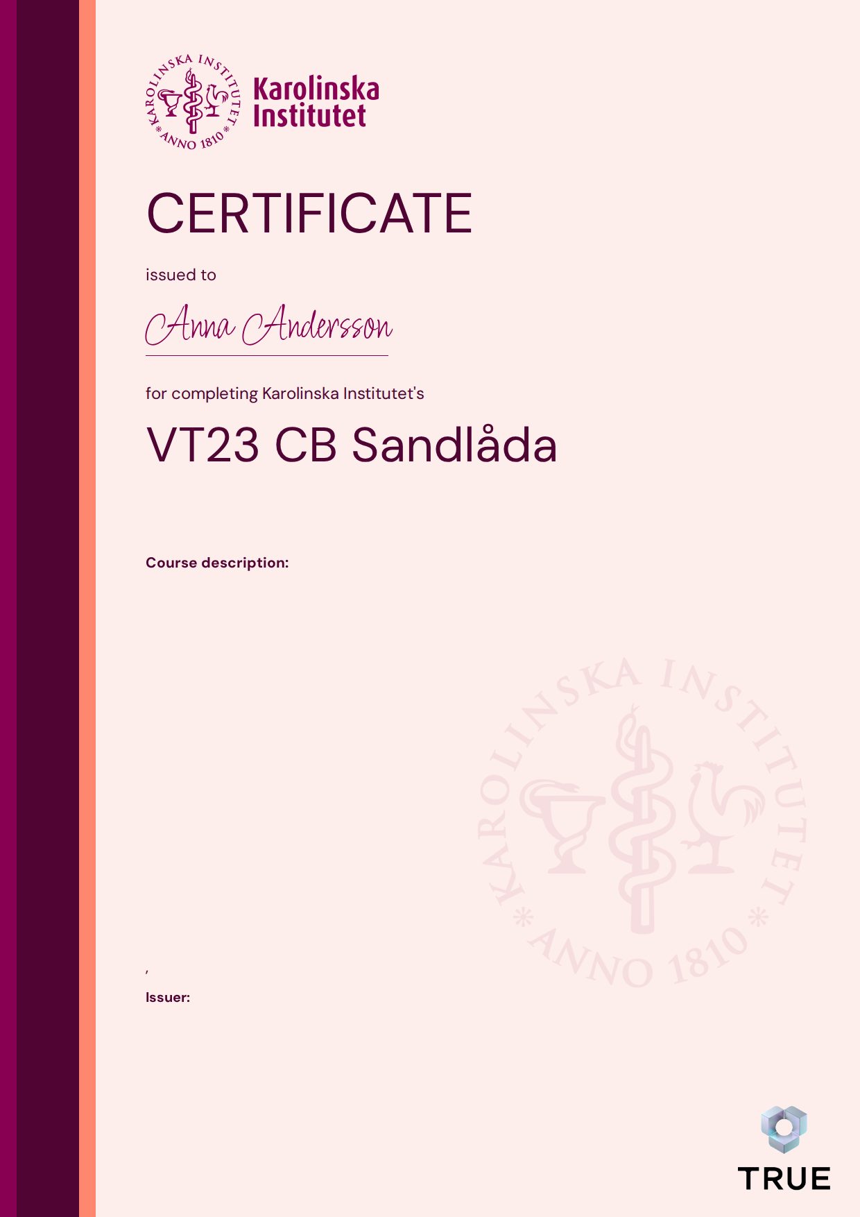 Exempel: diplom för VT23 CB Sandlåda från KI - Karolinska Institutet