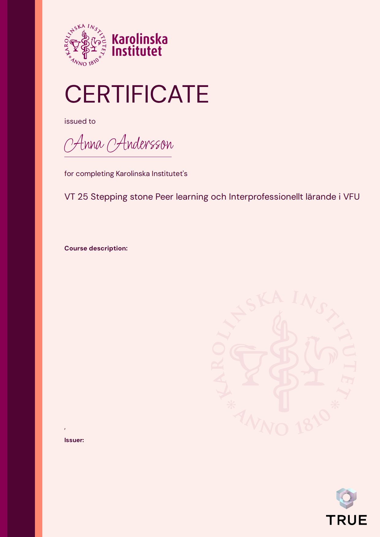 Example certificate for VT 25 Stepping stone Peer learning och Interprofessionellt lärande i VFU from KI - Karolinska Institutet