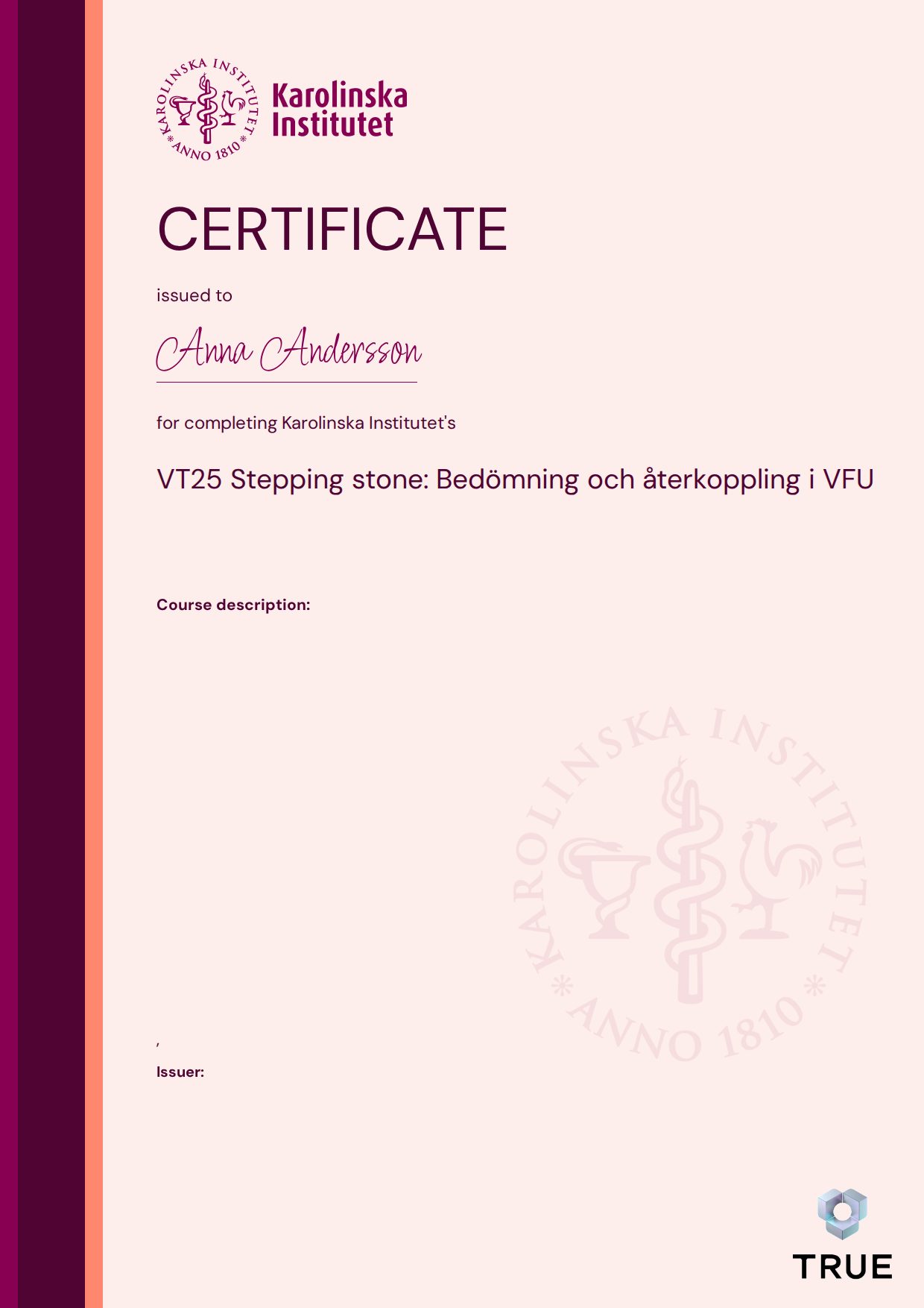 Example certificate for VT25 Stepping stone: Bedömning och återkoppling i VFU from KI - Karolinska Institutet