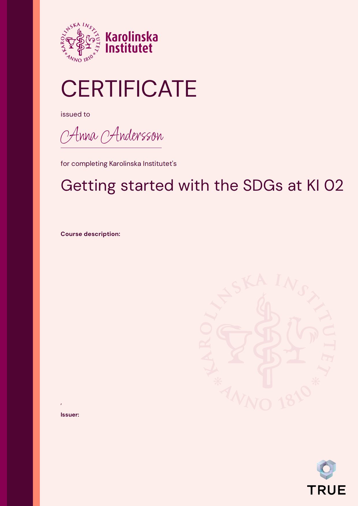 Exempel: diplom för Getting started with the SDGs at KI 02 från KI - Karolinska Institutet