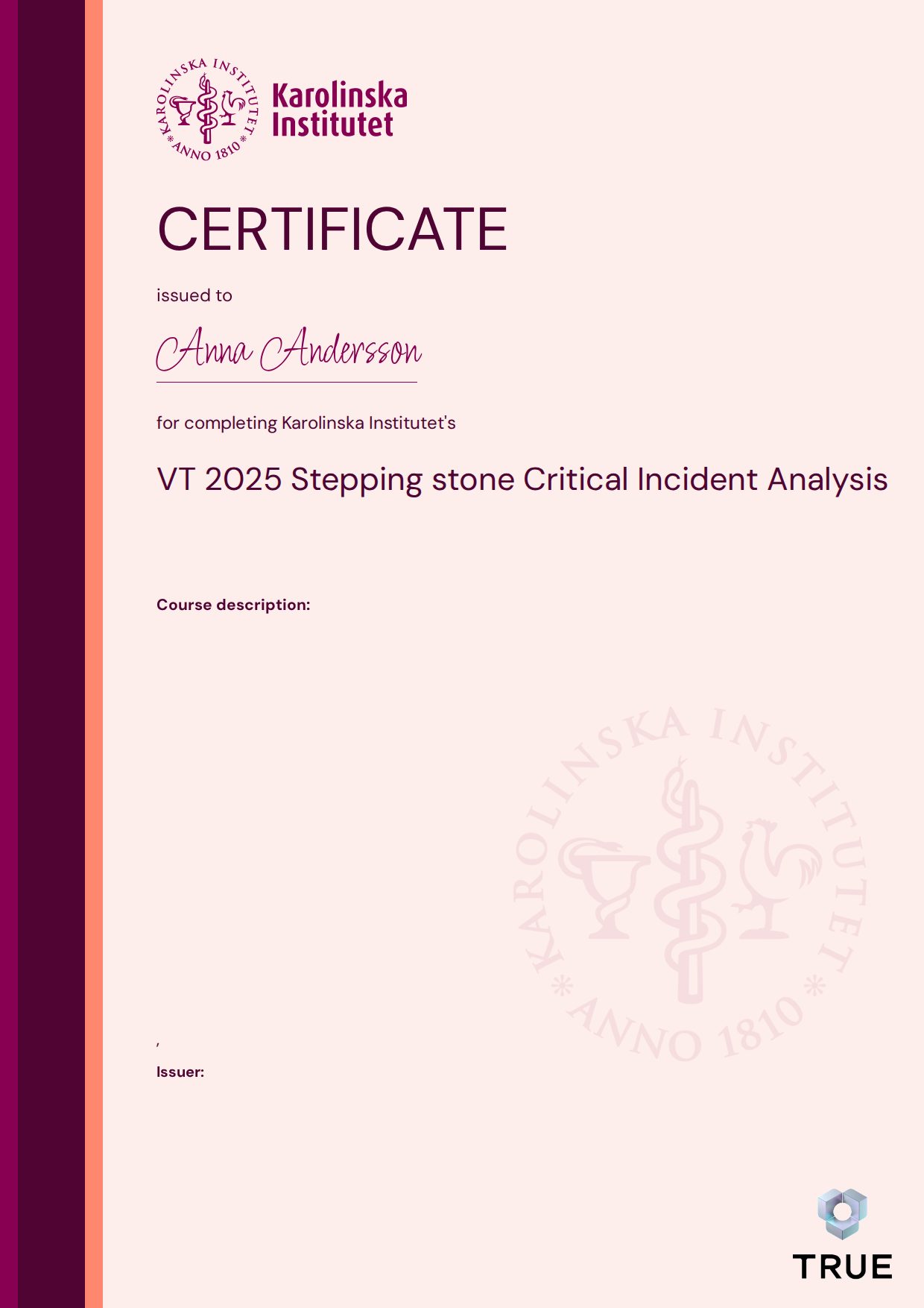 Example certificate for VT 2025 Stepping stone Critical Incident Analysis from KI - Karolinska Institutet