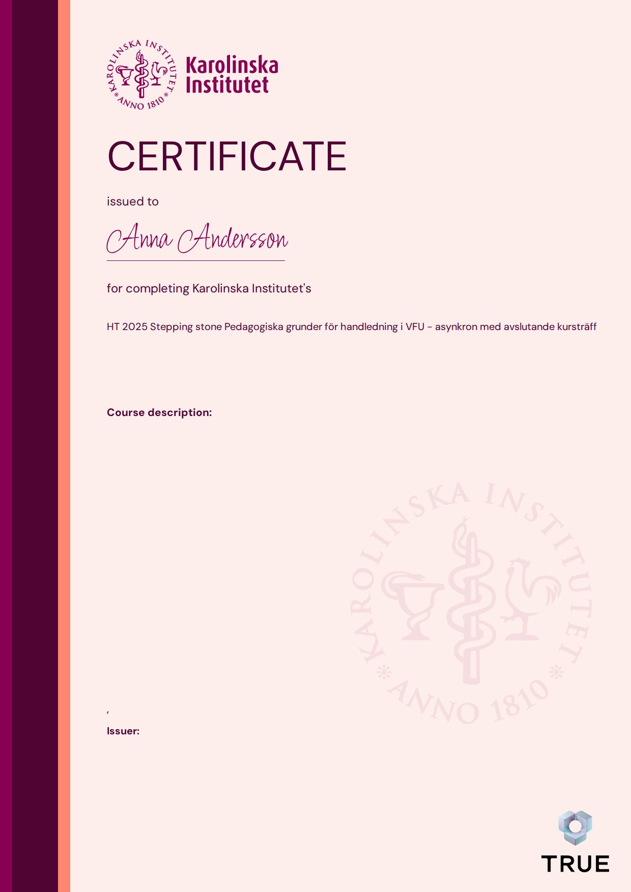 Exempel: diplom för HT 2025 Stepping stone Pedagogiska grunder för handledning i VFU - asynkron med avslutande kursträff från KI - Karolinska Institutet