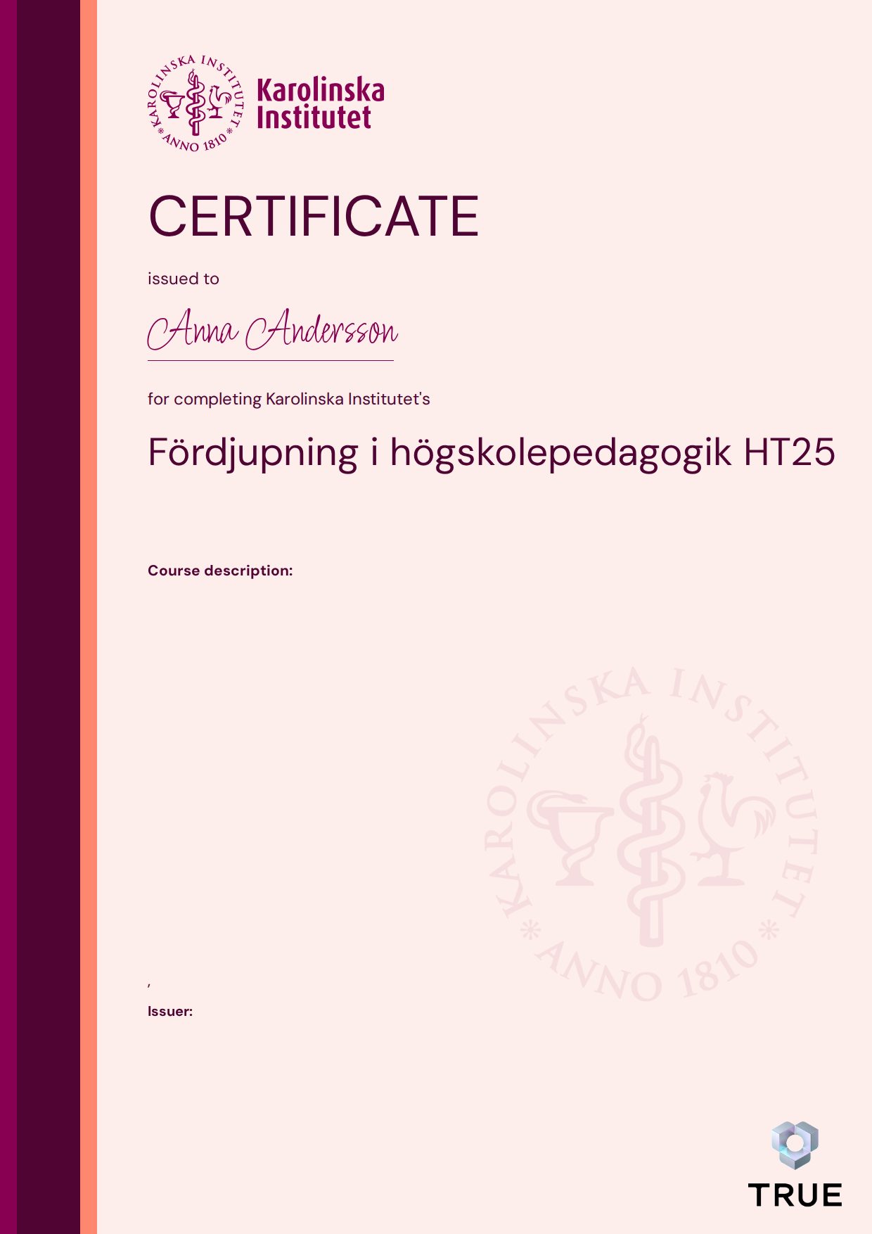Exempel: diplom för Fördjupning i högskolepedagogik HT25 från KI - Karolinska Institutet
