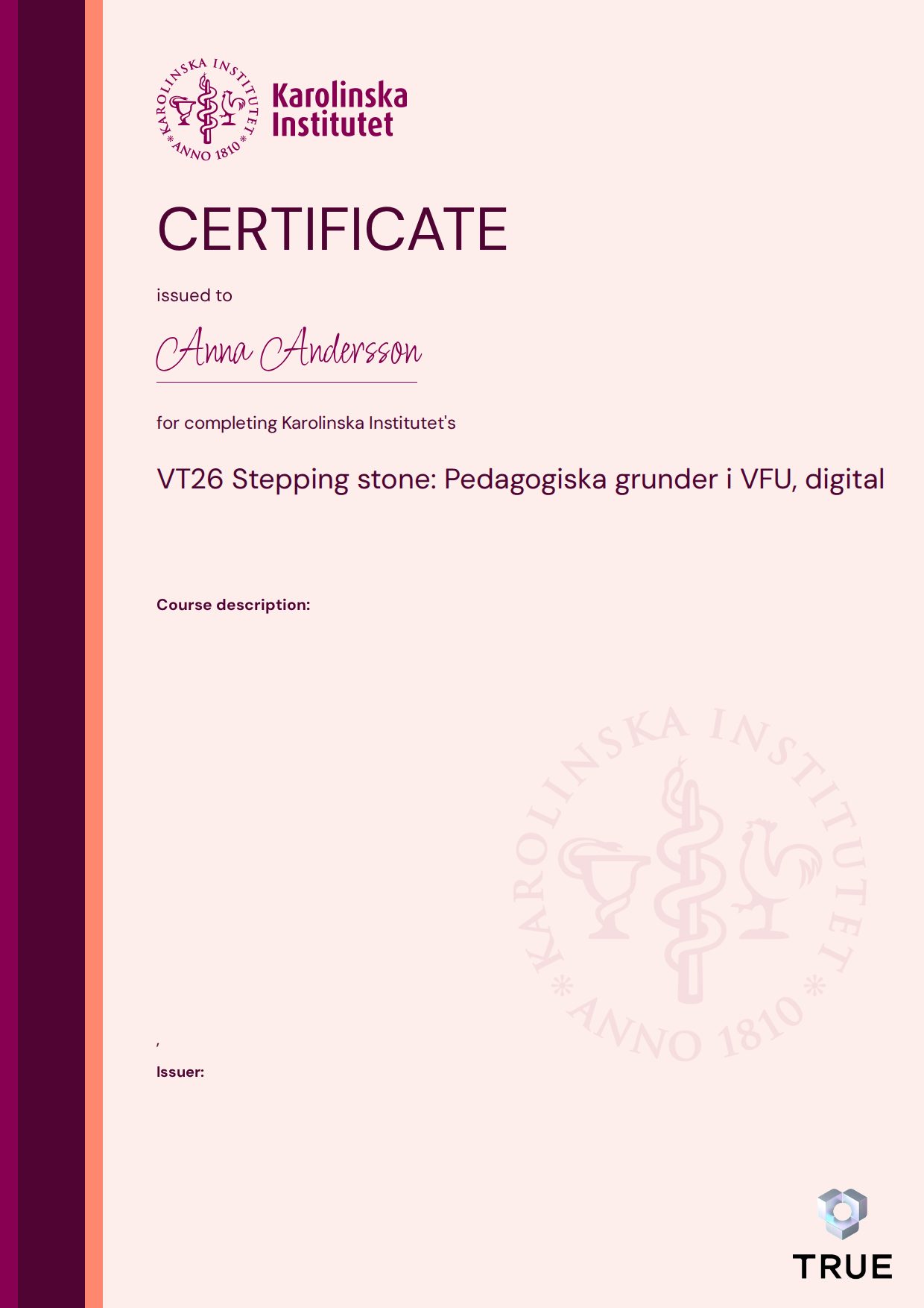 Exempel: diplom för VT26 Stepping stone: Pedagogiska grunder i VFU, digital från KI - Karolinska Institutet