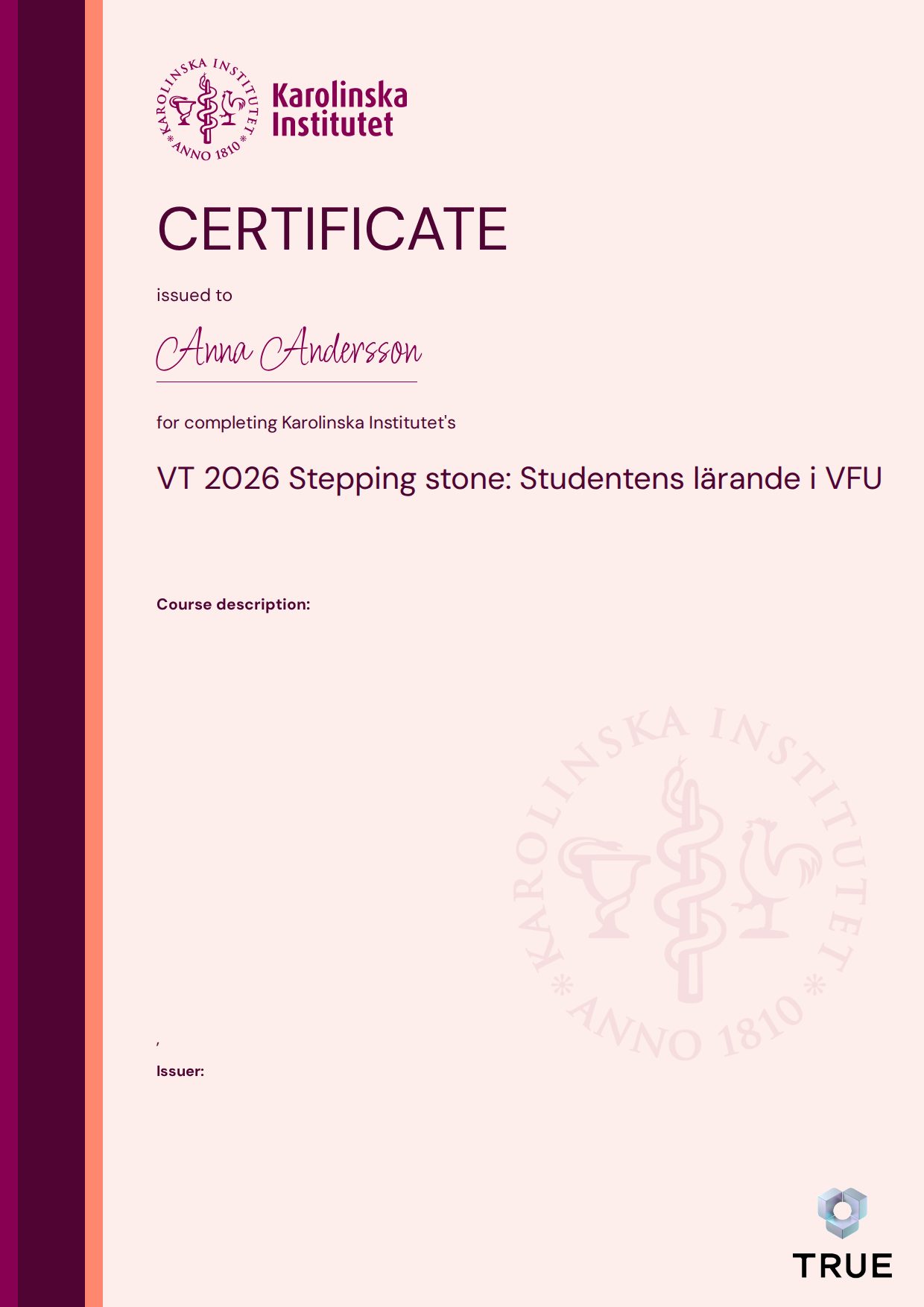 Exempel: diplom för VT 2026 Stepping stone: Studentens lärande i VFU från KI - Karolinska Institutet