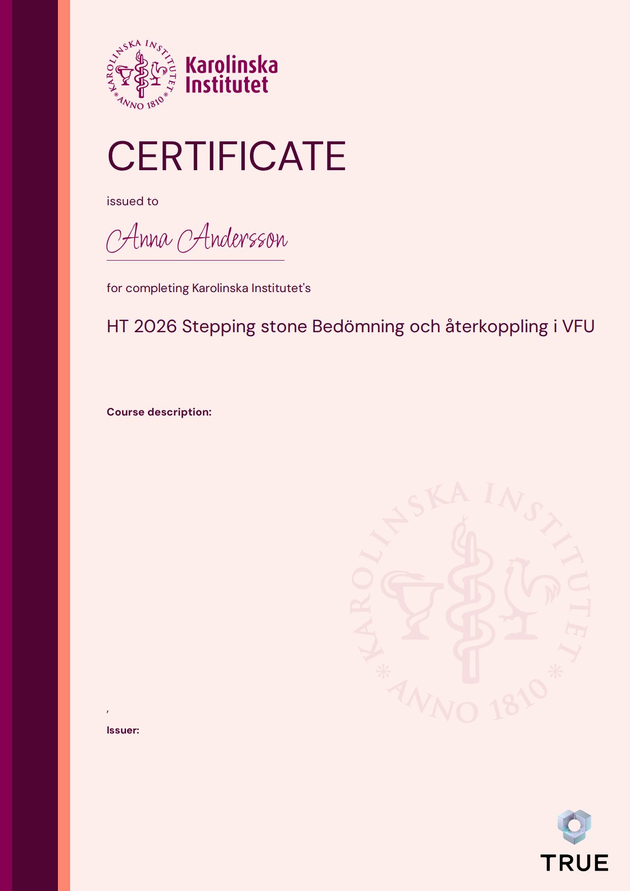 Exempel: diplom för HT 2026 Stepping stone Bedömning och återkoppling i VFU från KI - Karolinska Institutet