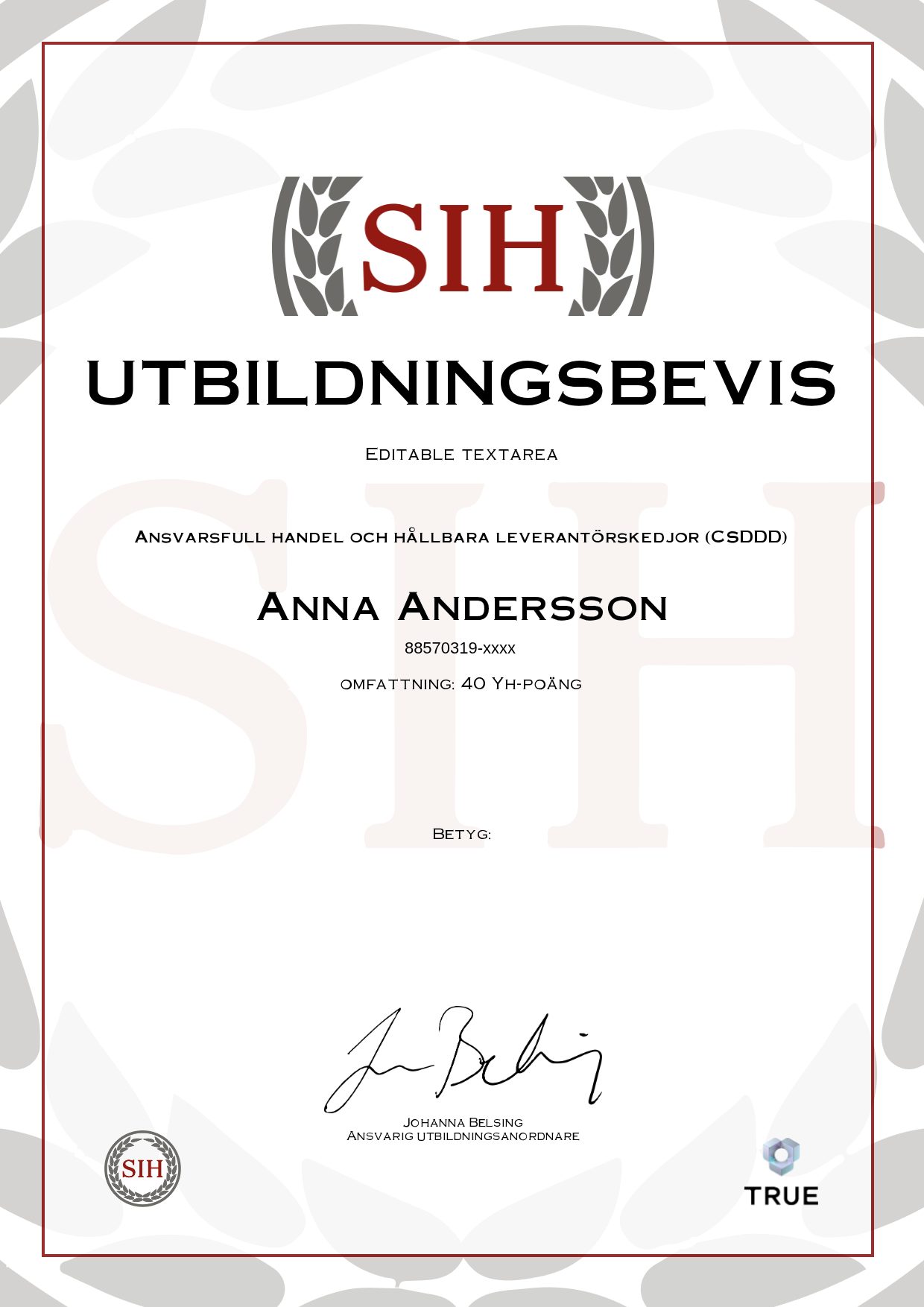 Exempel: diplom för Ansvarsfull handel och hållbara leverantörskedjor (CSDDD) från SIH - Stockholms Internationella Handelsskola