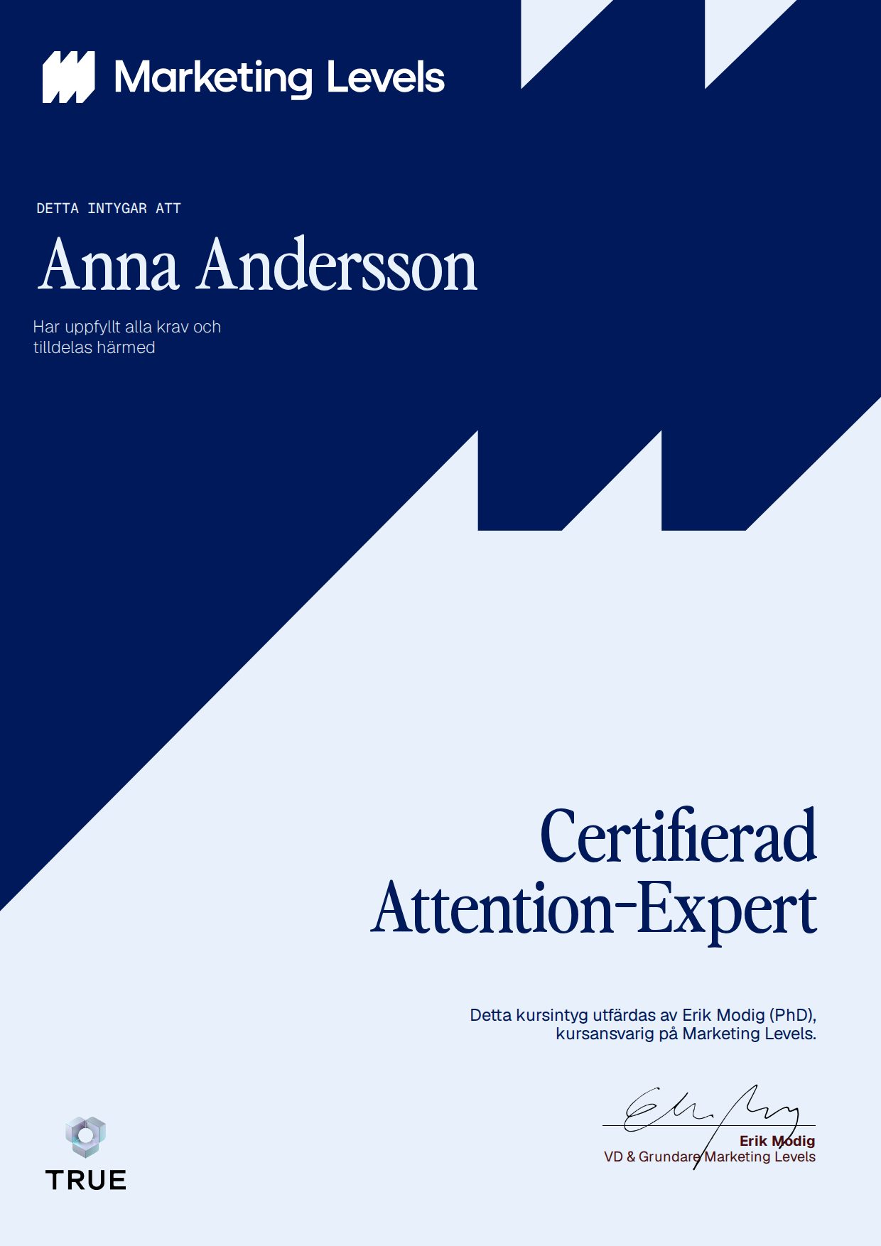 Exempel: diplom för Certifierad Attention-Expert från Marketing Levels Sweden AB