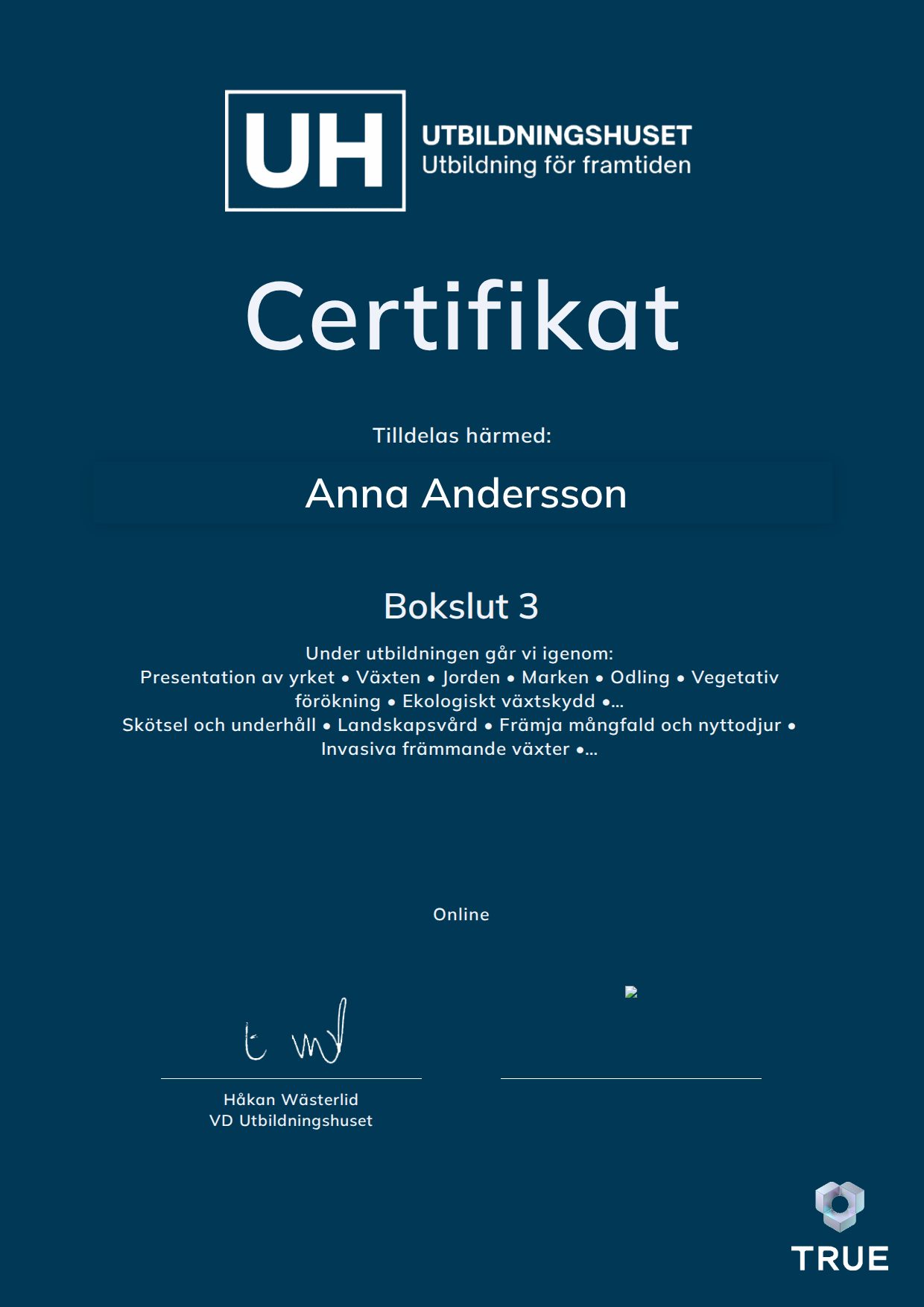 Exempel: diplom för Bokslut 3 från Education Online