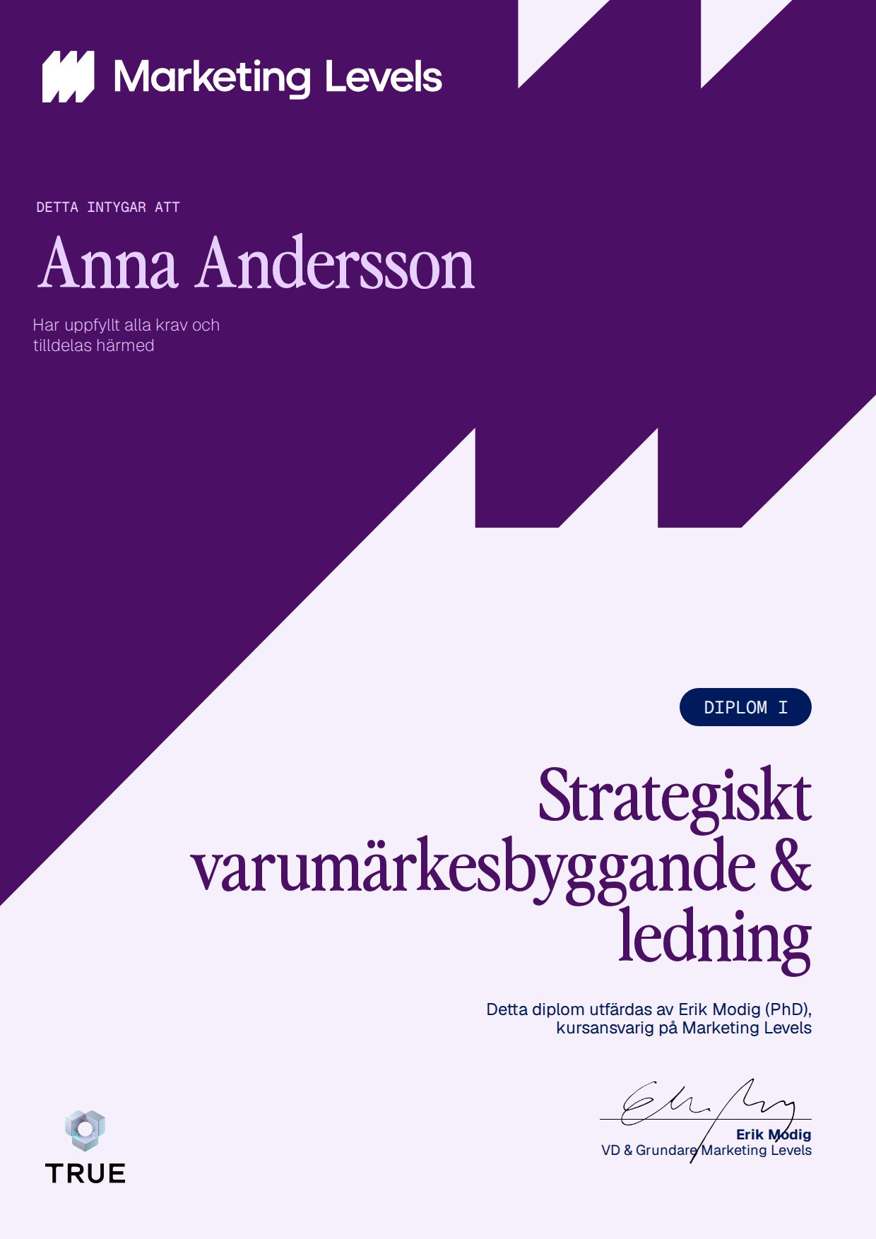Example certificate for Strategiskt varumärkesbyggande & ledning from Marketing Levels Sweden AB