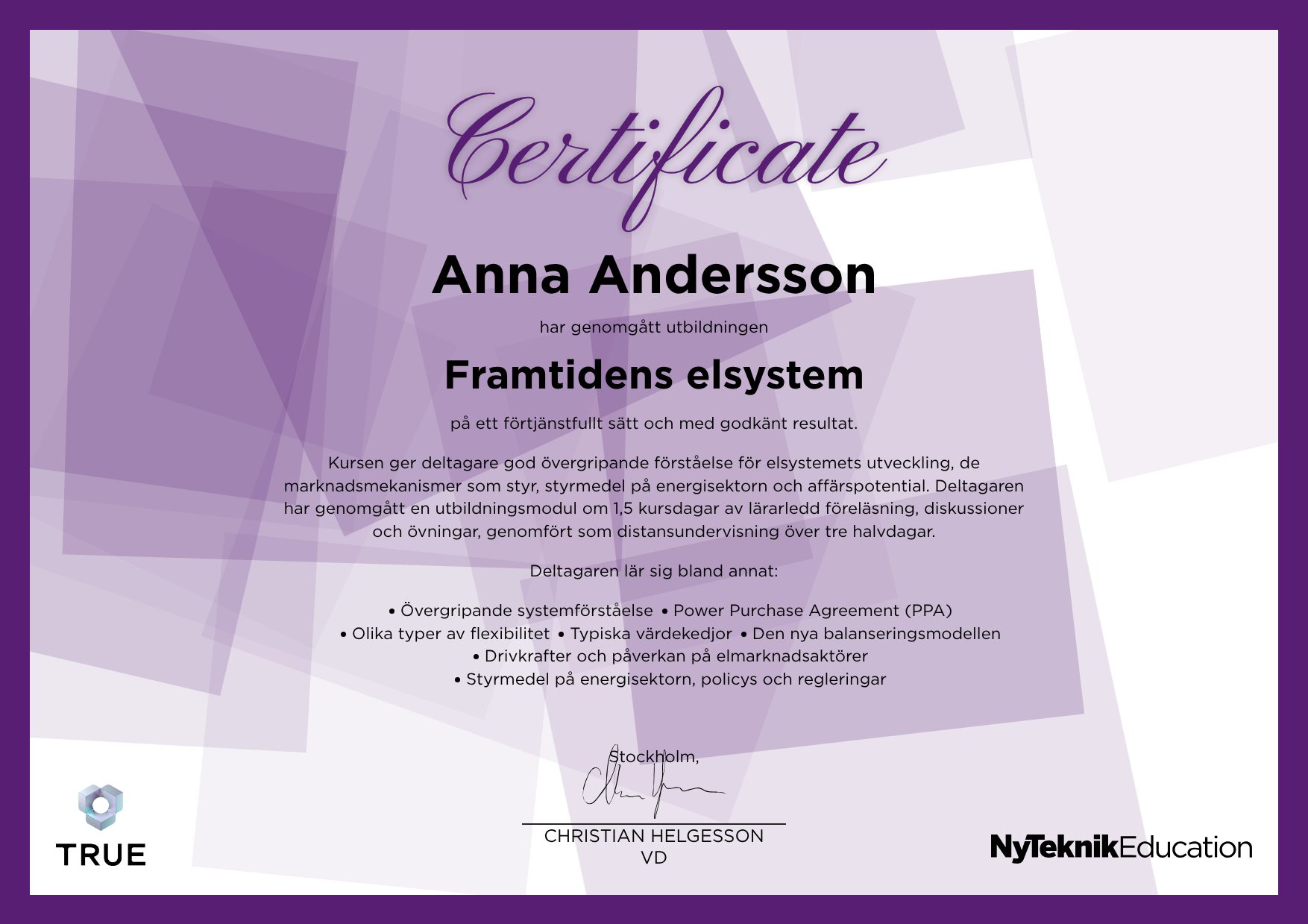 Example certificate for Certified Chief Technology Officer from Ny Teknik Education