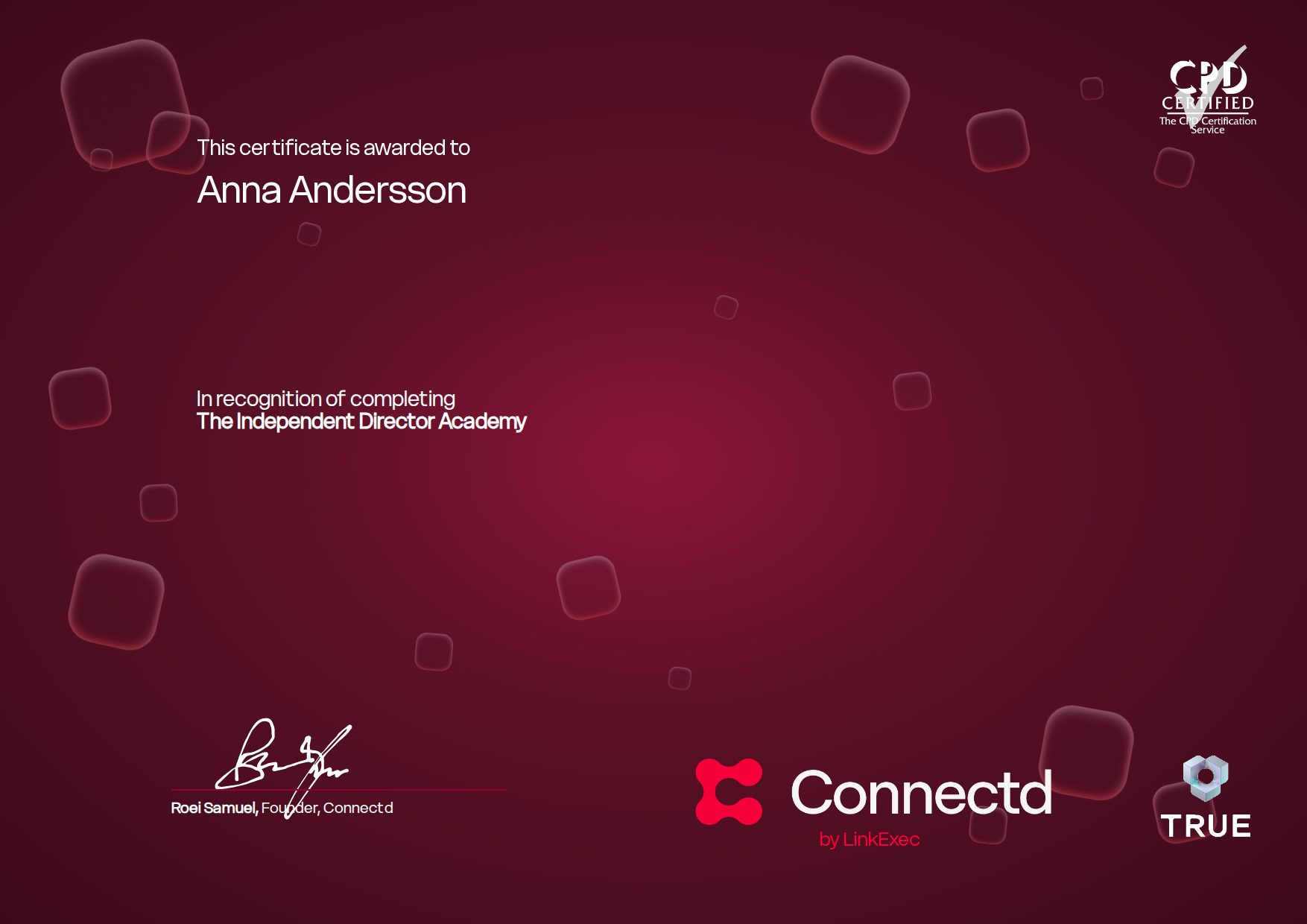 Exempel: diplom för Connectd Independent Director från Connectd - LinkExec