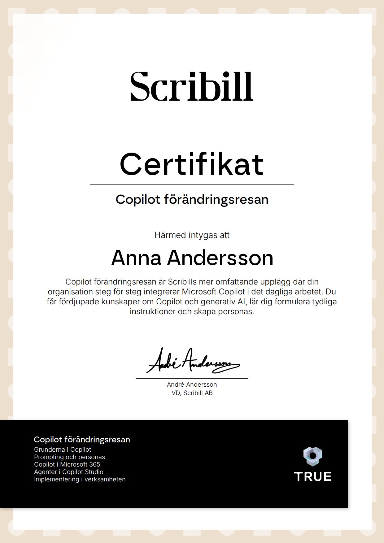 Example certificate for Copilot förändringsresan from Scribill AB i Malmö