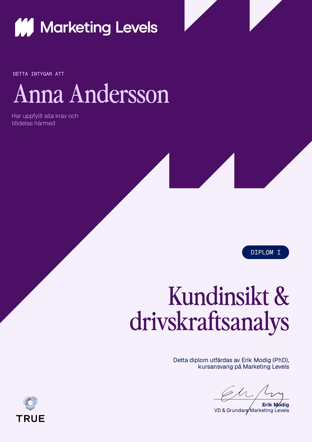 Example certificate for Kundinsikt & drivskraftsanalys from Marketing Levels Sweden AB