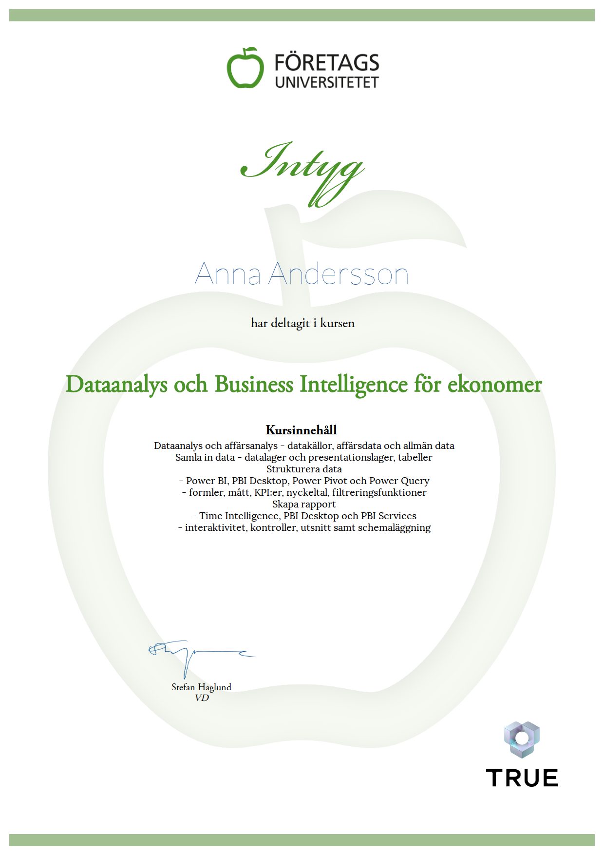 Exempel: diplom för Dataanalys och Business Intelligence för ekonomer från Företagsuniversitetet