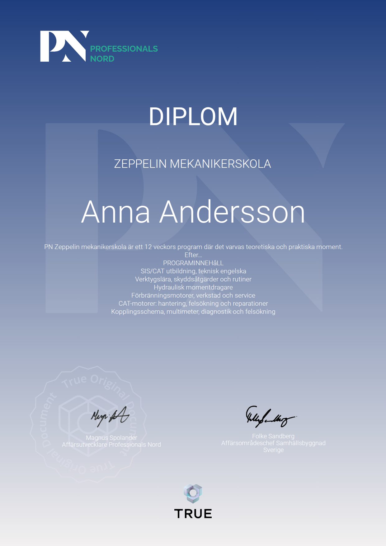 Exempel: diplom för Zeppelin mekanikerskola från Satellite Group / Professionals Nord
