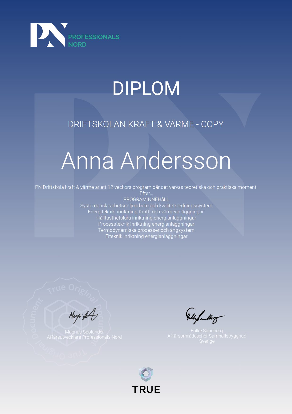 Exempel: diplom för Driftskolan Kraft & Värme - Copy från Satellite Group / Professionals Nord