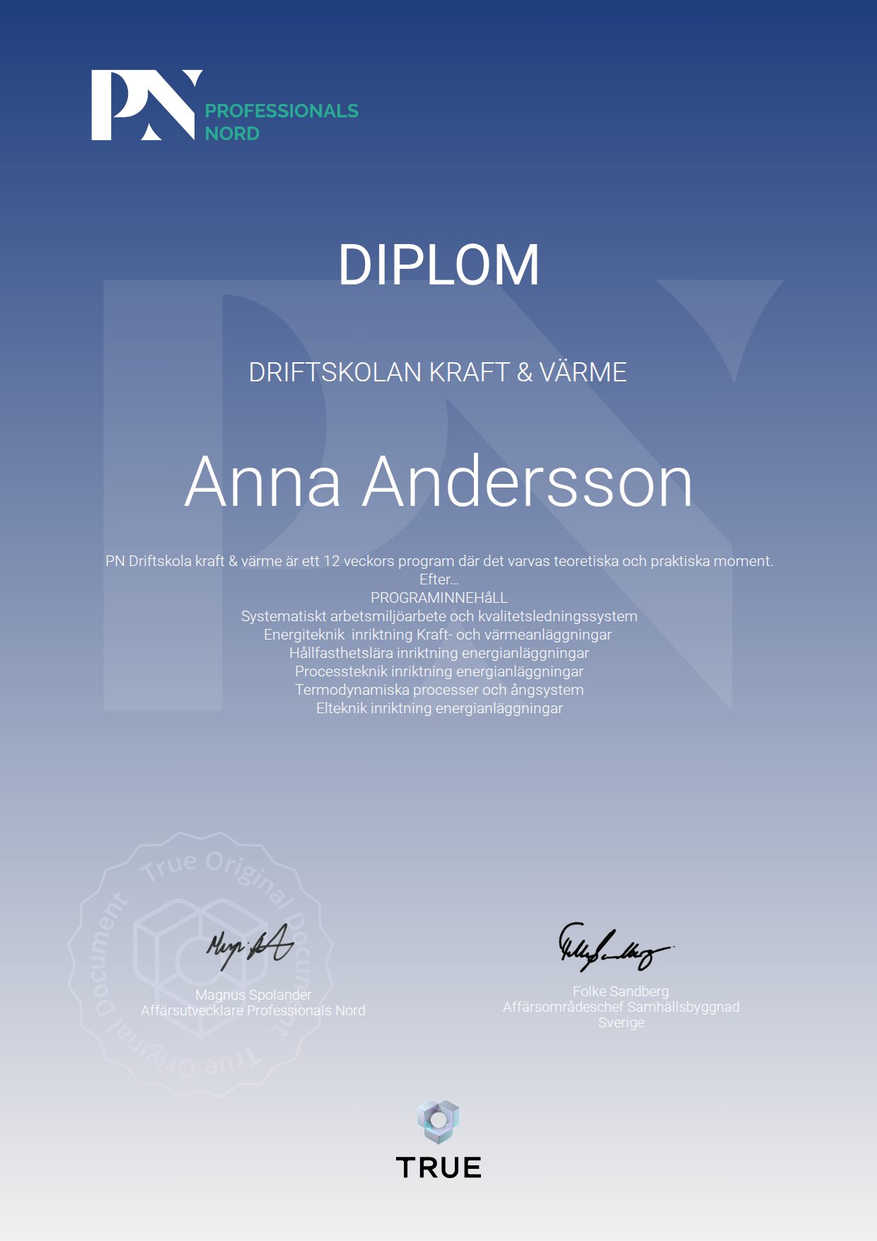 Exempel: diplom för Driftskolan Kraft & Värme från Satellite Group / Professionals Nord