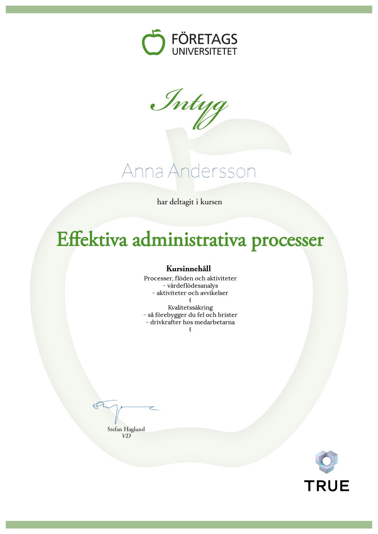Exempel: diplom för Effektiva administrativa processer från Företagsuniversitetet
