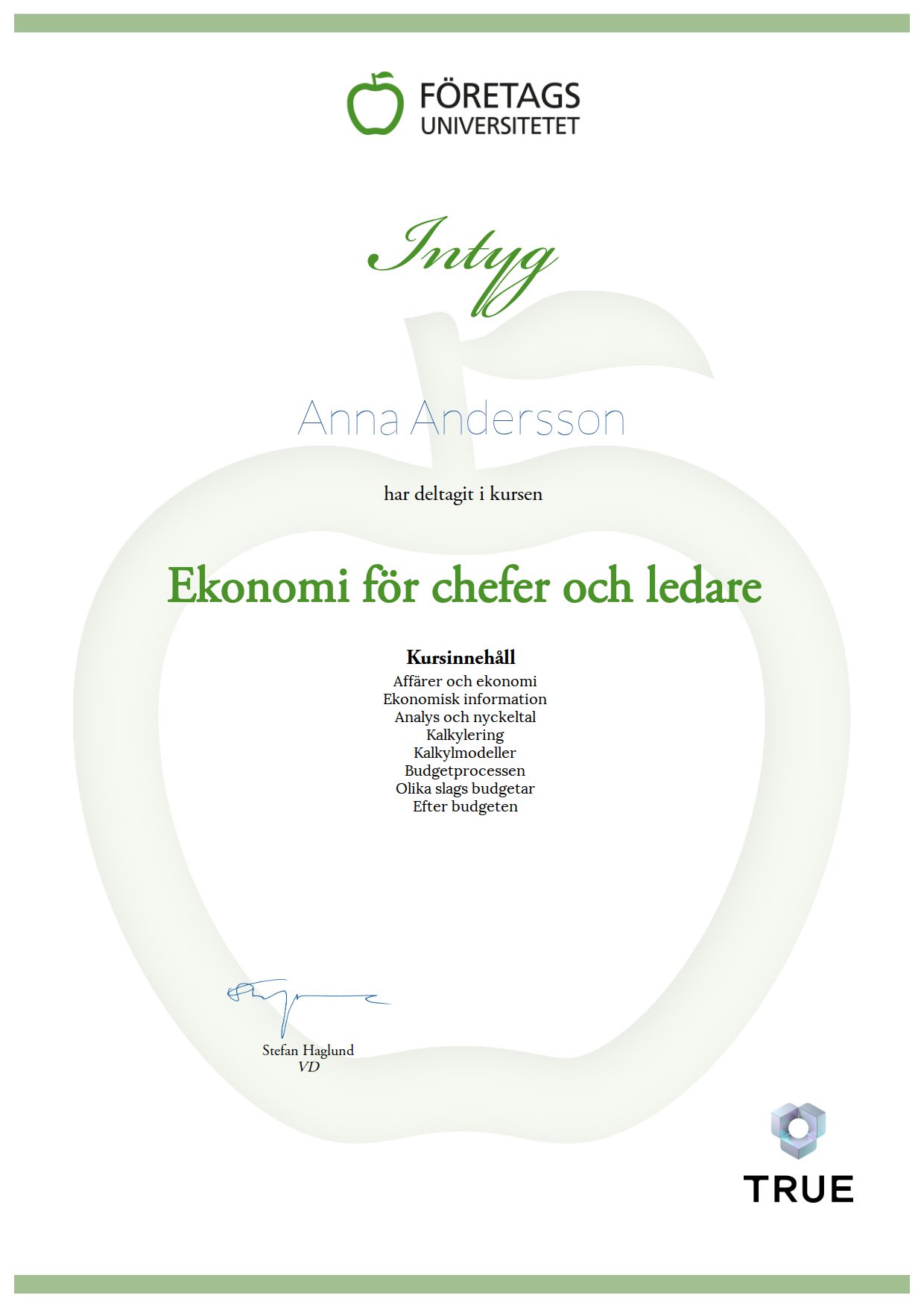 Exempel: diplom för Ekonomi för chefer och ledare från Företagsuniversitetet