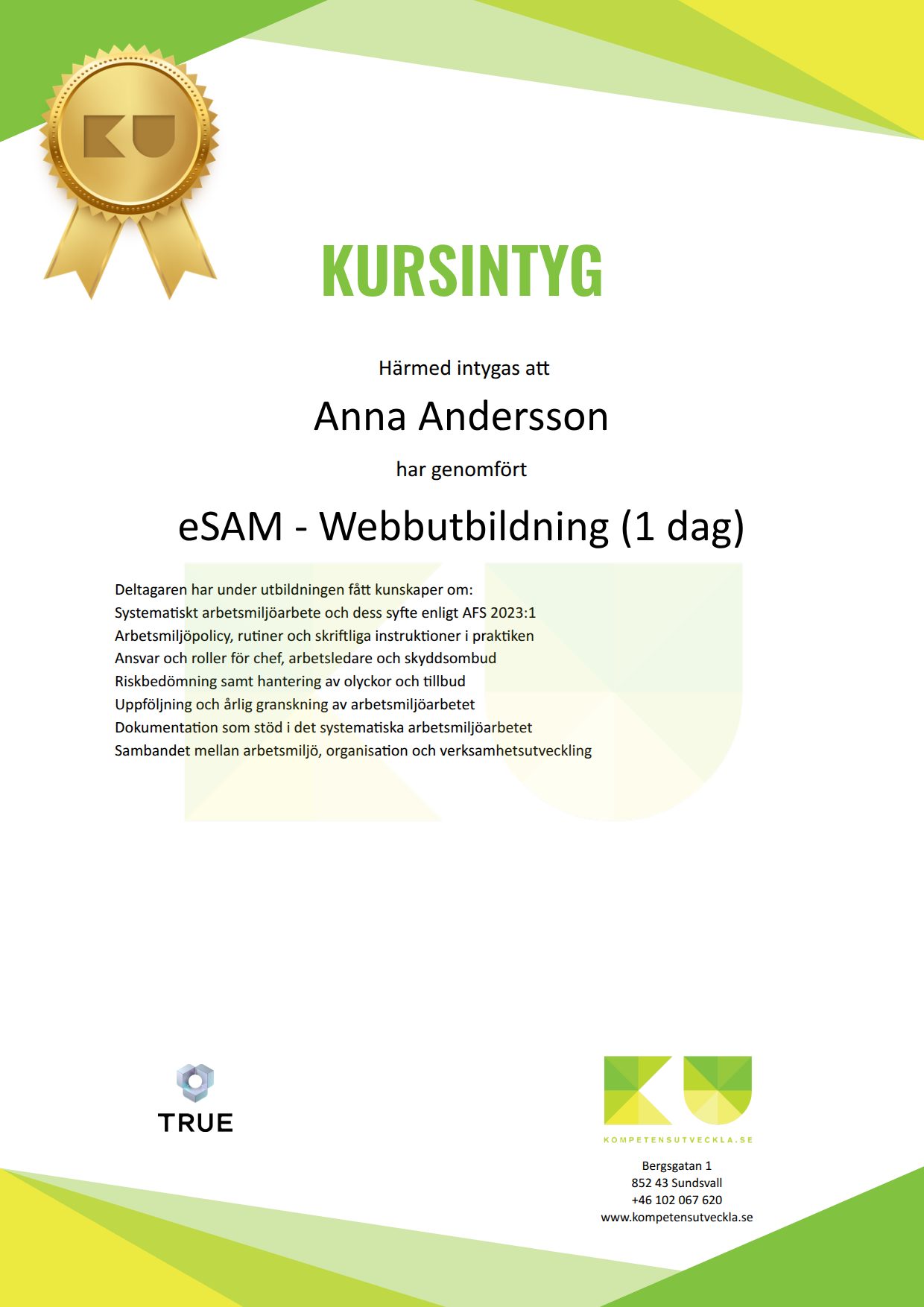 Exempel: diplom för eSAM - Webbutbildning (1 dag) från Kompetensutveckla