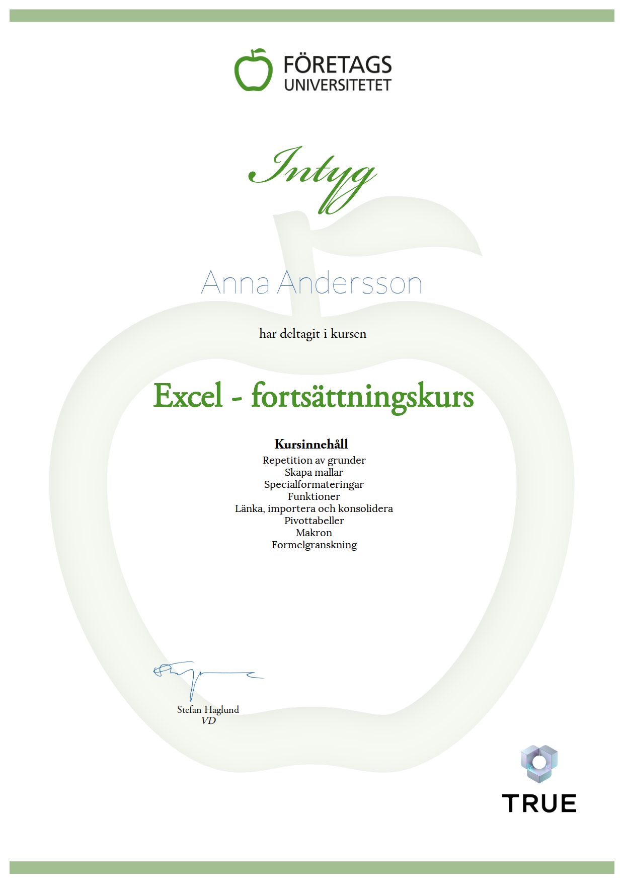 Exempel: diplom för Excel - fortsättningskurs från Företagsuniversitetet
