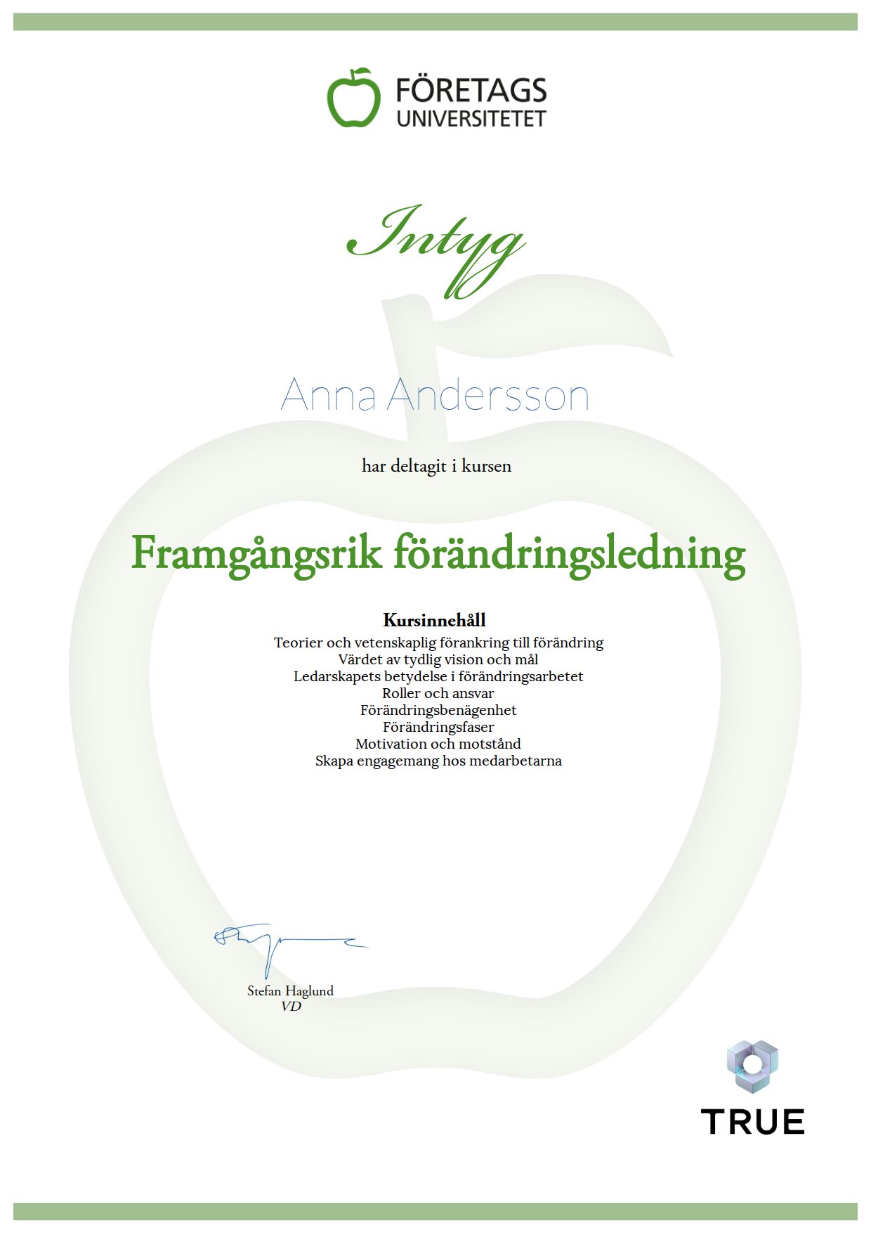 Example certificate for Framgångsrik förändringsledning from Företagsuniversitetet