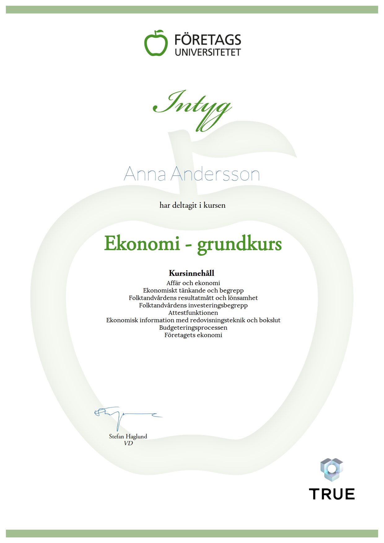 Example certificate for Ekonomi - grundkurs from Företagsuniversitetet
