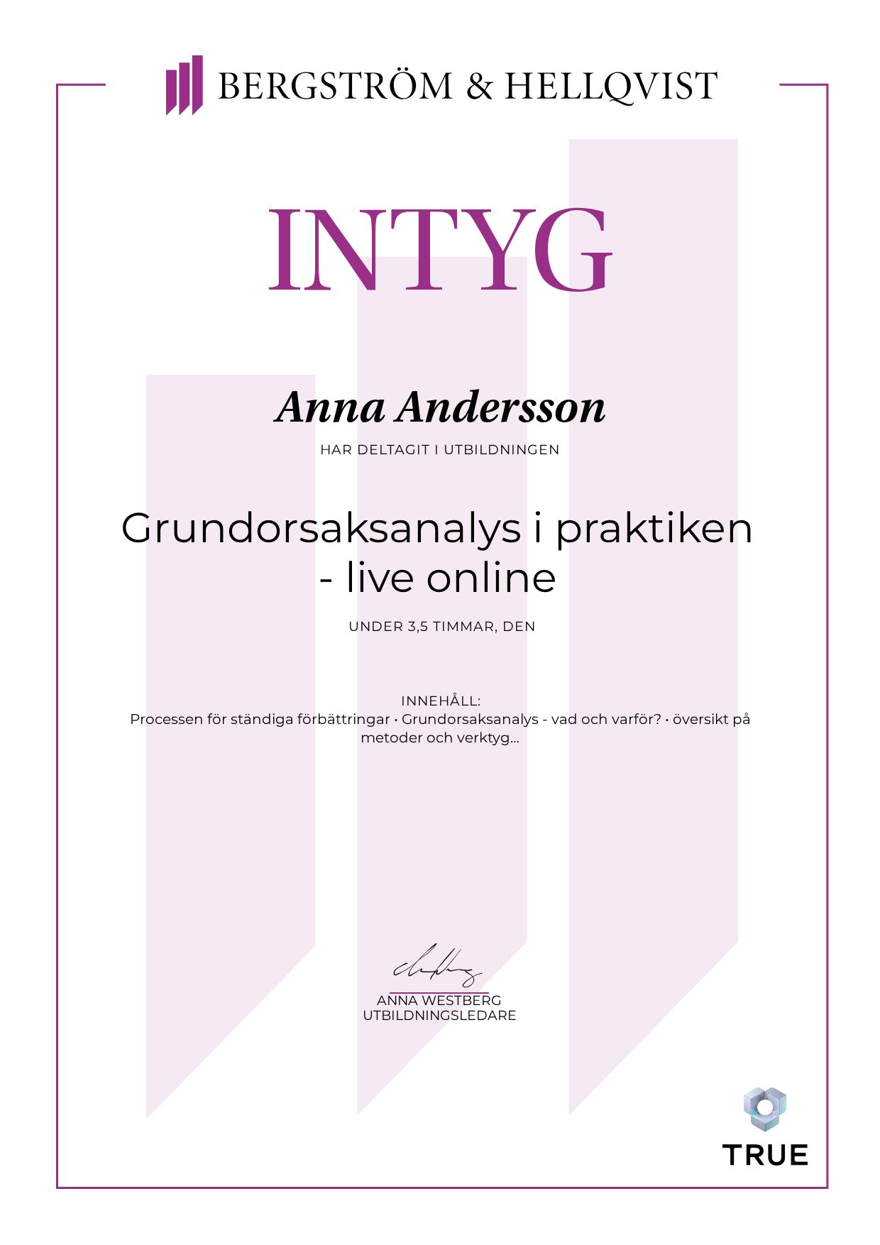 Exempel: diplom för Grundorsaksanalys i praktiken - live online från Bergström & Hellqvist