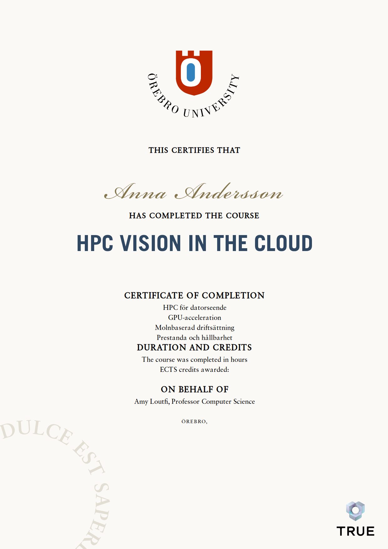 Exempel: diplom för HPC Vision in the Cloud från Örebro universitet