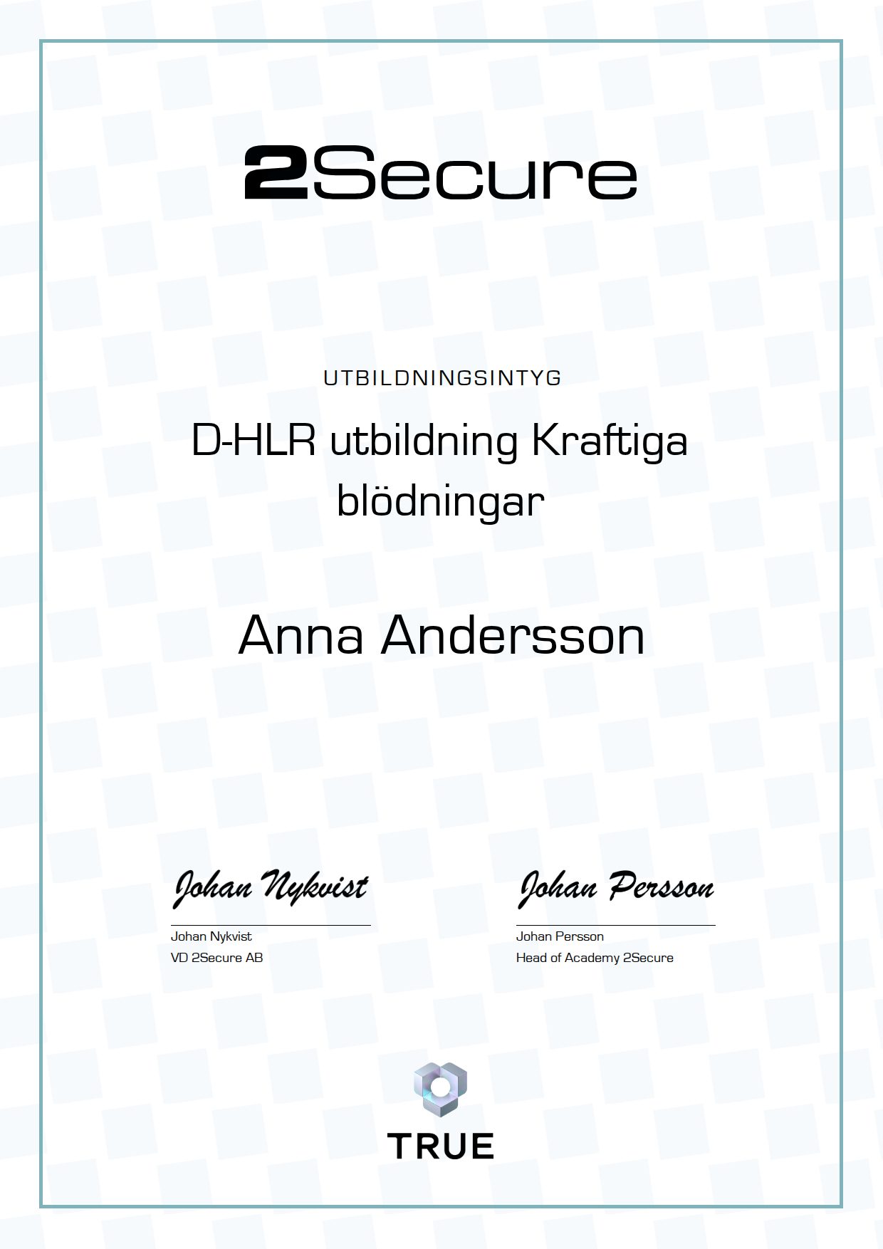 Example certificate for D-HLR utbildning
Kraftiga blödningar from 2Secure