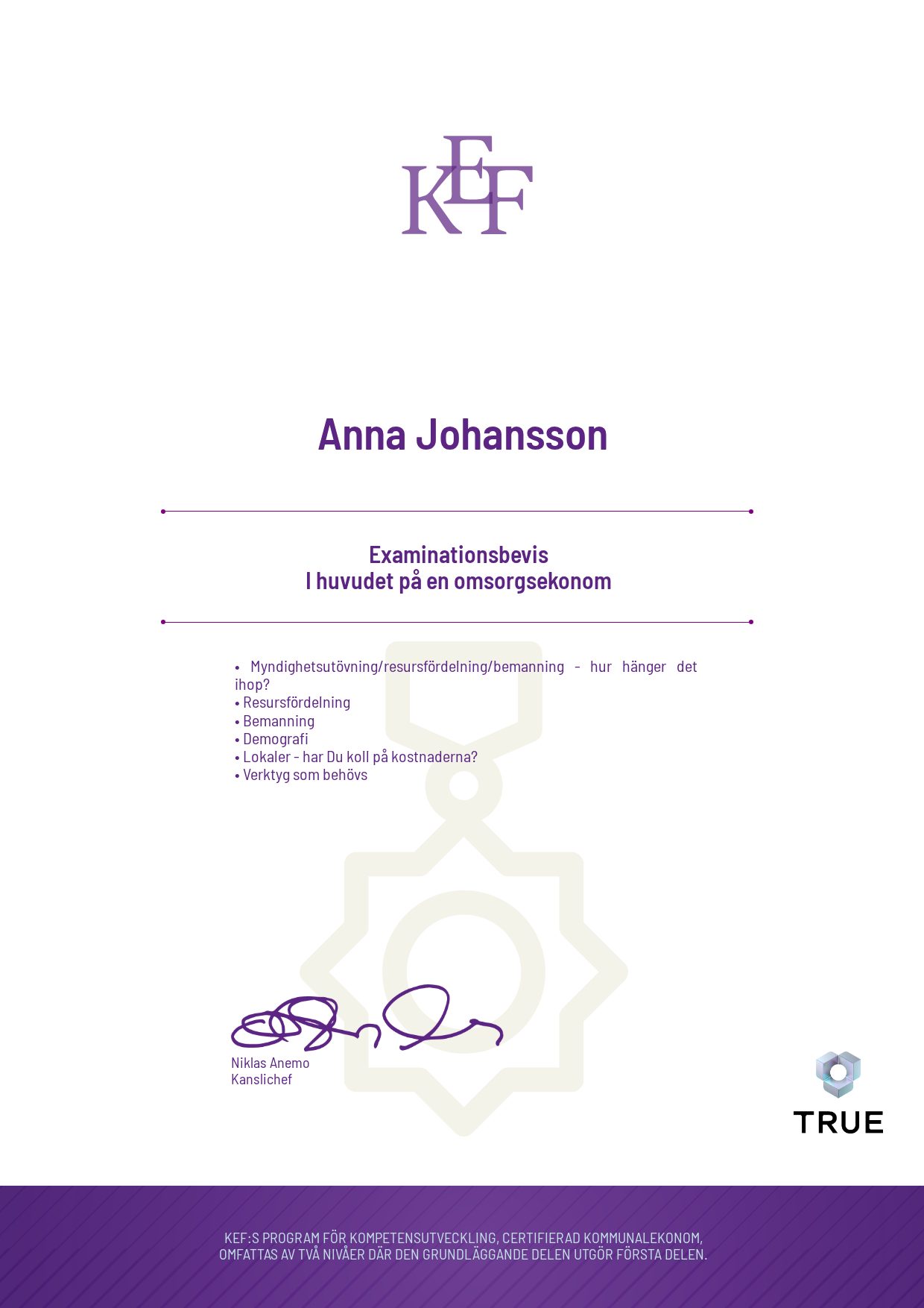 Example certificate for I huvudet på en omsorgsekonom from KEF - Kommualekonomernas förening