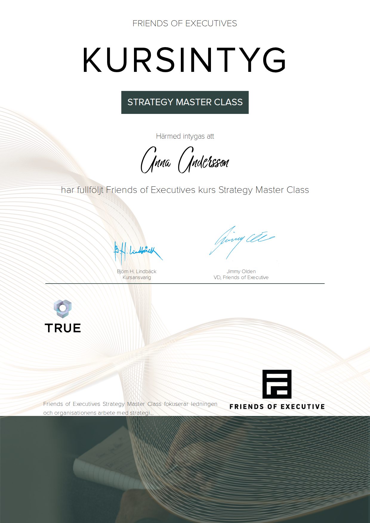 Exempel: diplom för Strategy Master Class från Friends of Executive