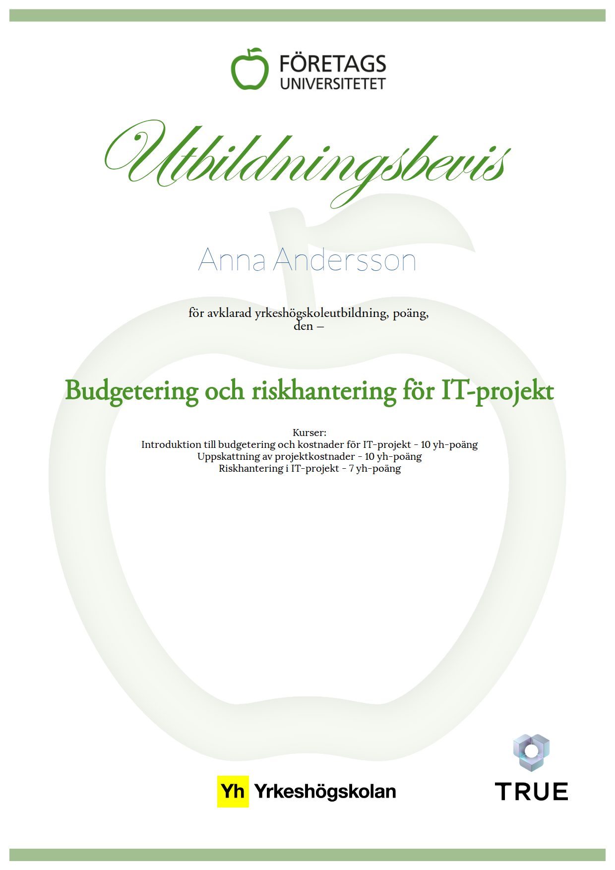 Exempel: diplom för Budgetering och riskhantering för IT-projekt från Företagsuniversitetet YH