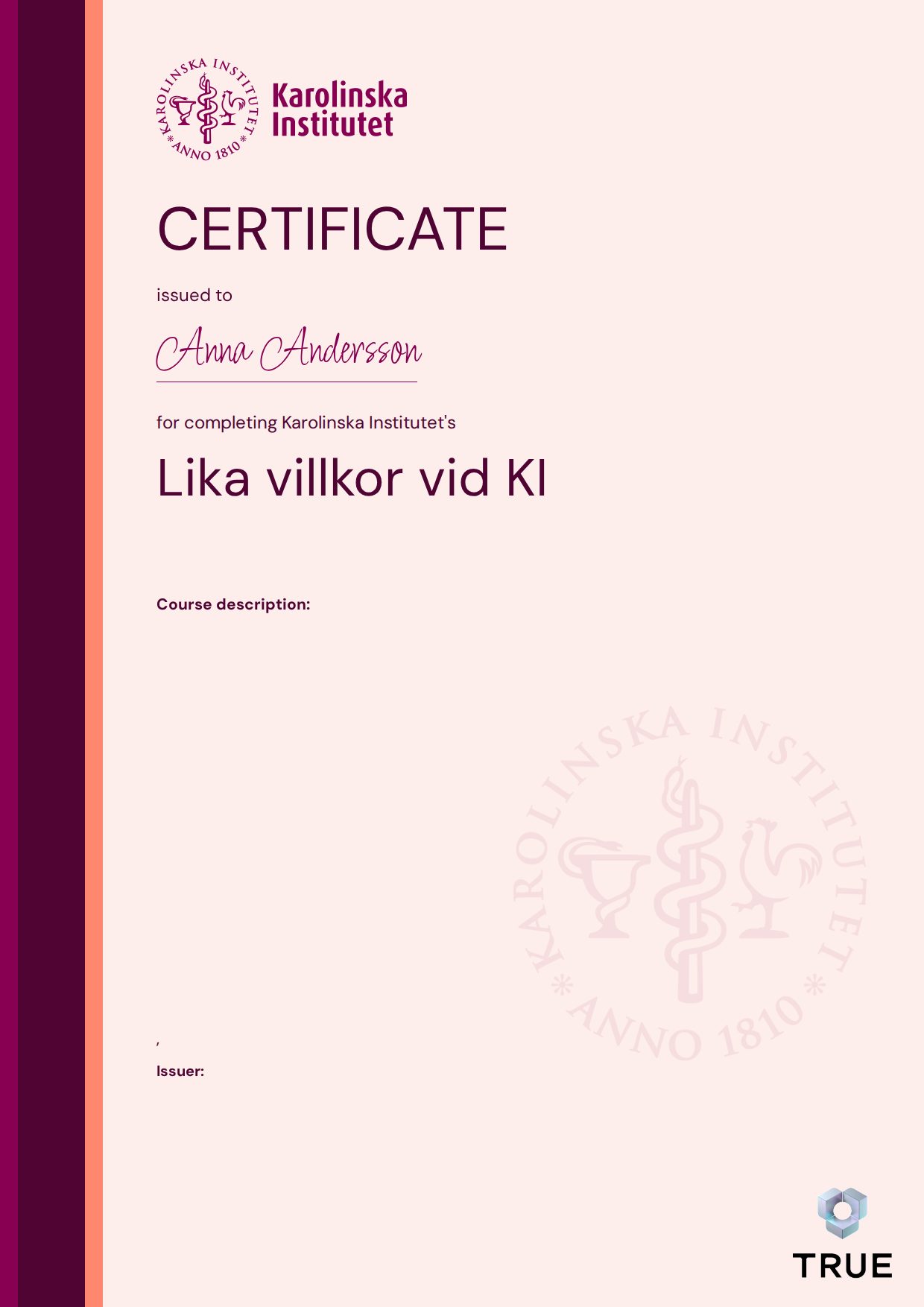 Exempel: diplom för Lika villkor vid KI från KI - Karolinska Institutet