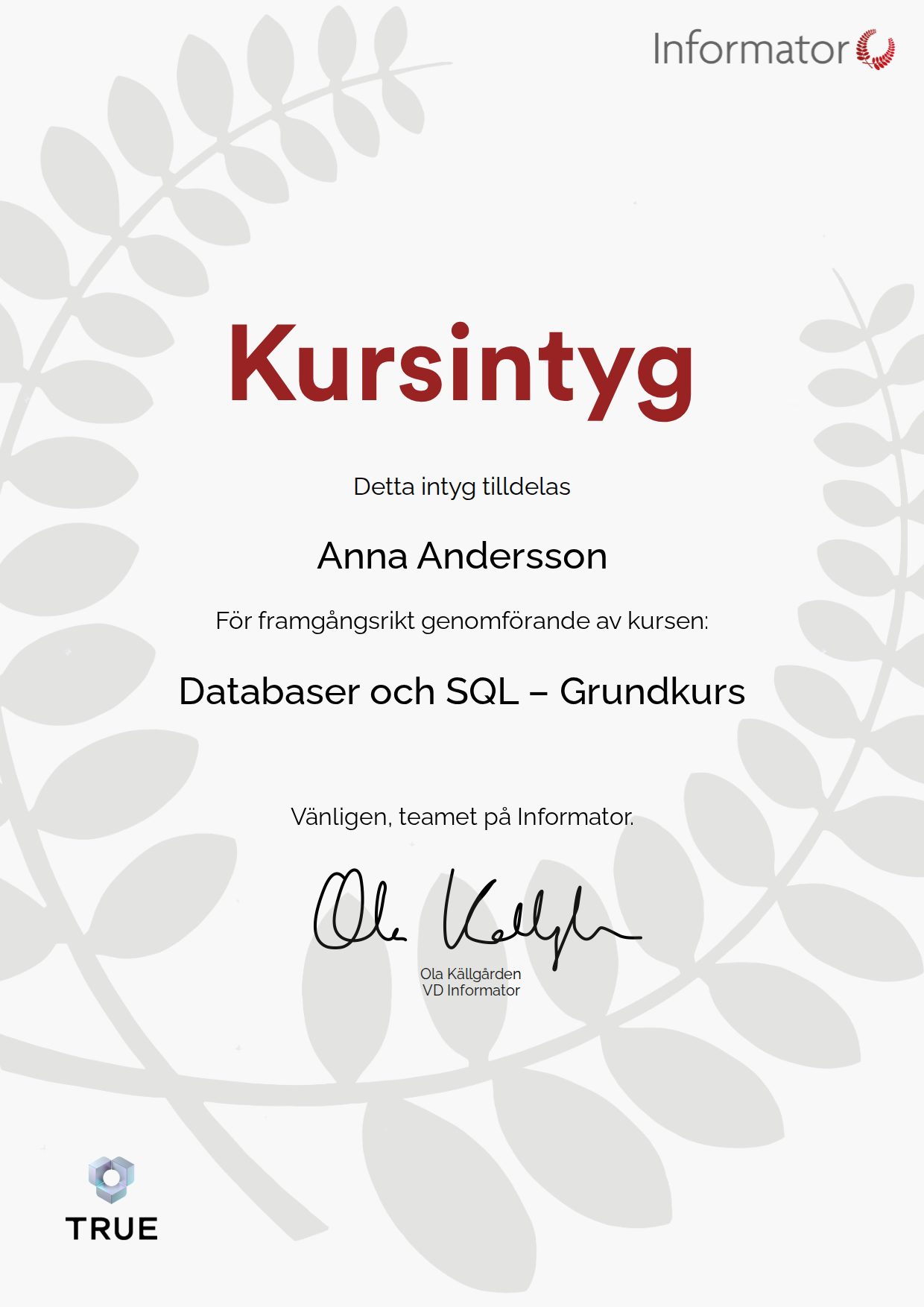 Exempel: diplom för Databaser och SQL – Grundkurs från Informator Utbildning