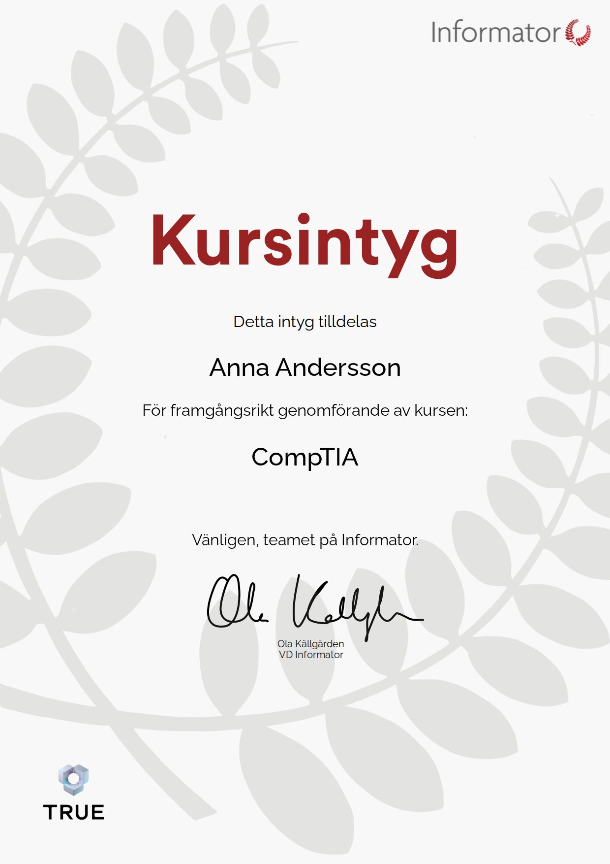 Example certificate for CompTIA from Informator Utbildning