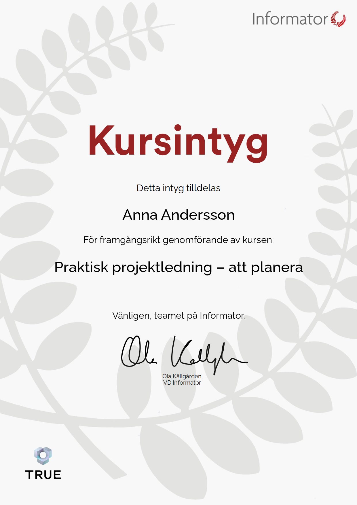 Example certificate for Practical Project Management: Planning from Informator Utbildning