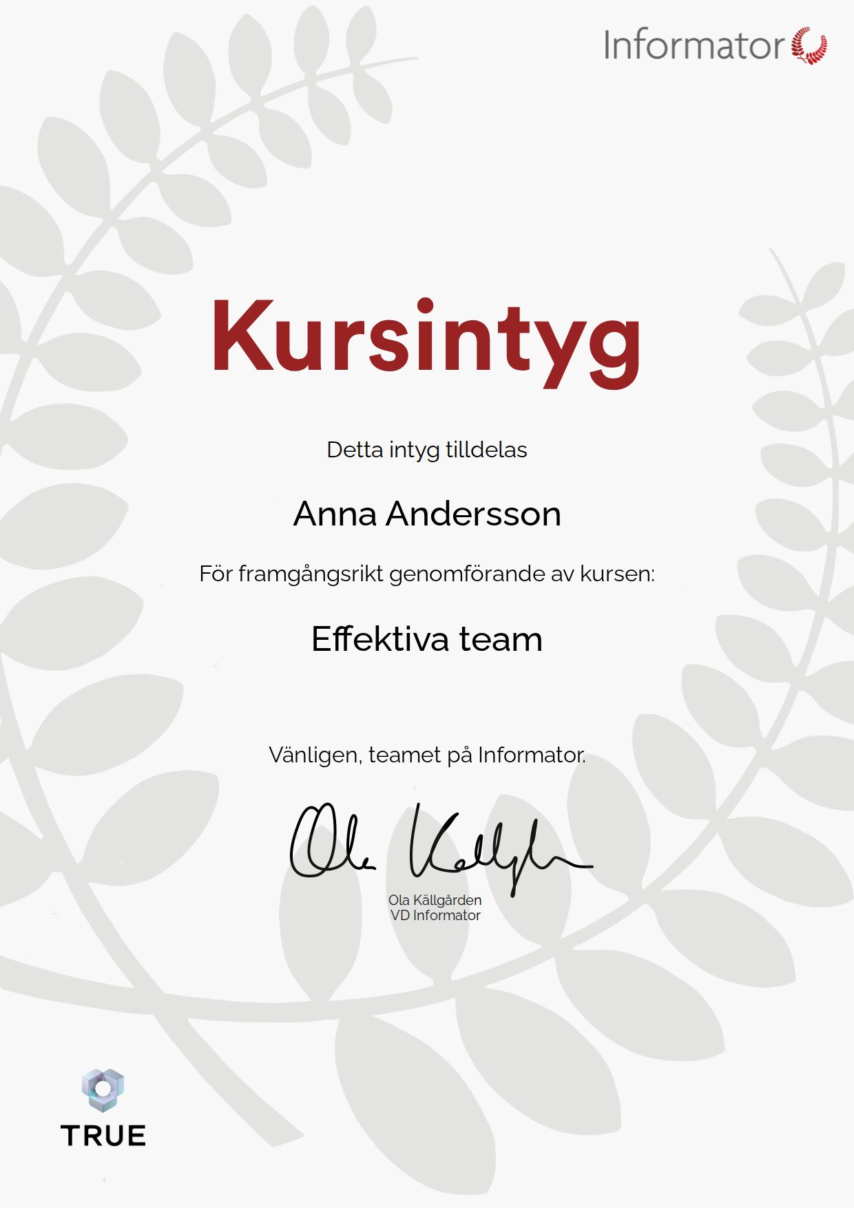 Example certificate for Effective Teams from Informator Utbildning