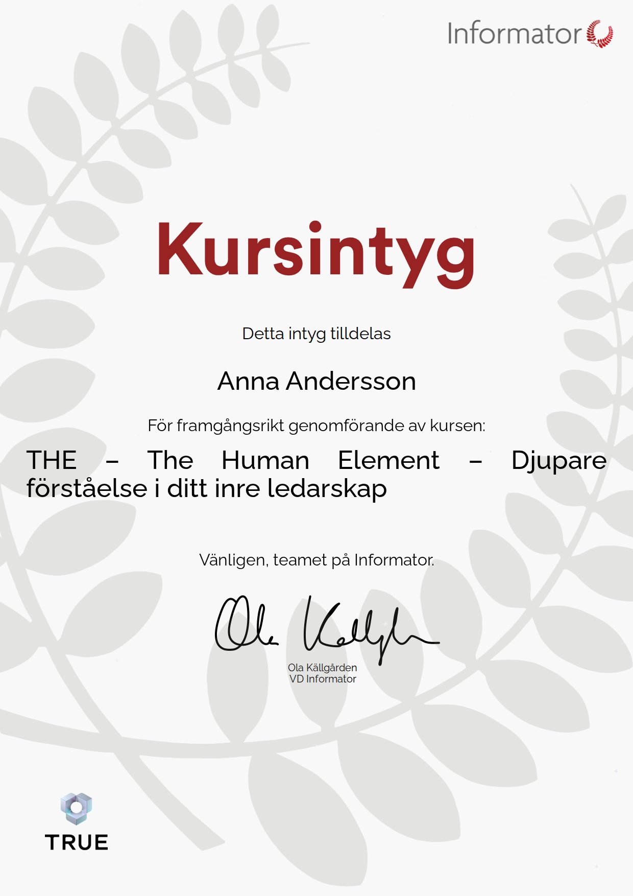 Exempel: diplom för THE – The Human Element – Djupare förståelse i ditt inre ledarskap från Informator Utbildning