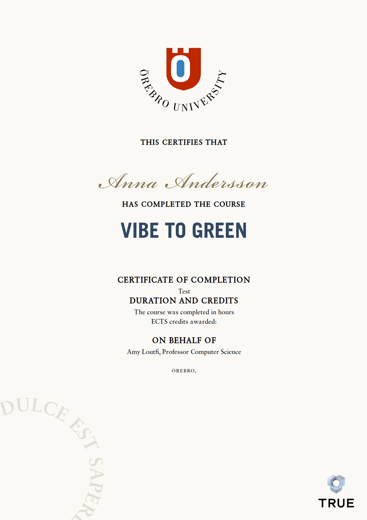 Exempel: diplom för Vibe to Green från Örebro universitet