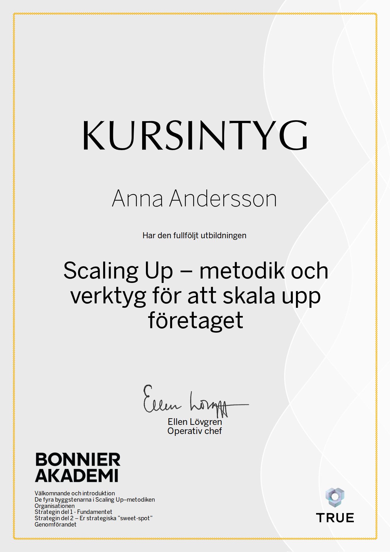 Example certificate for Scaling Up: methodology and tools for scaling up the company from Bonnier Akademi