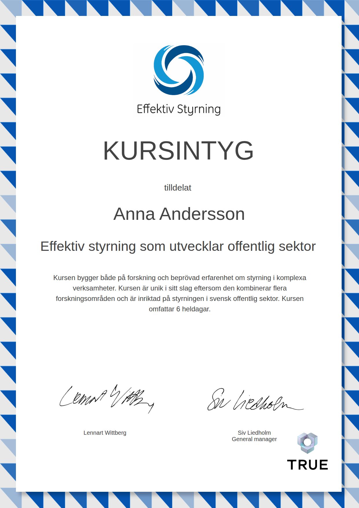Exempel: diplom för Effektiv styrning som utvecklar offentlig sektor från Effektiv Styrning Sverige AB
