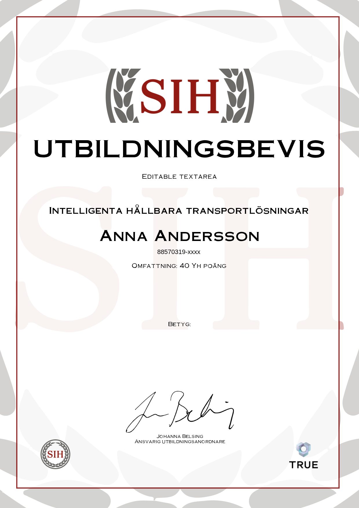 Exempel: diplom för Intelligenta hållbara transportlösningar från SIH - Stockholms Internationella Handelsskola
