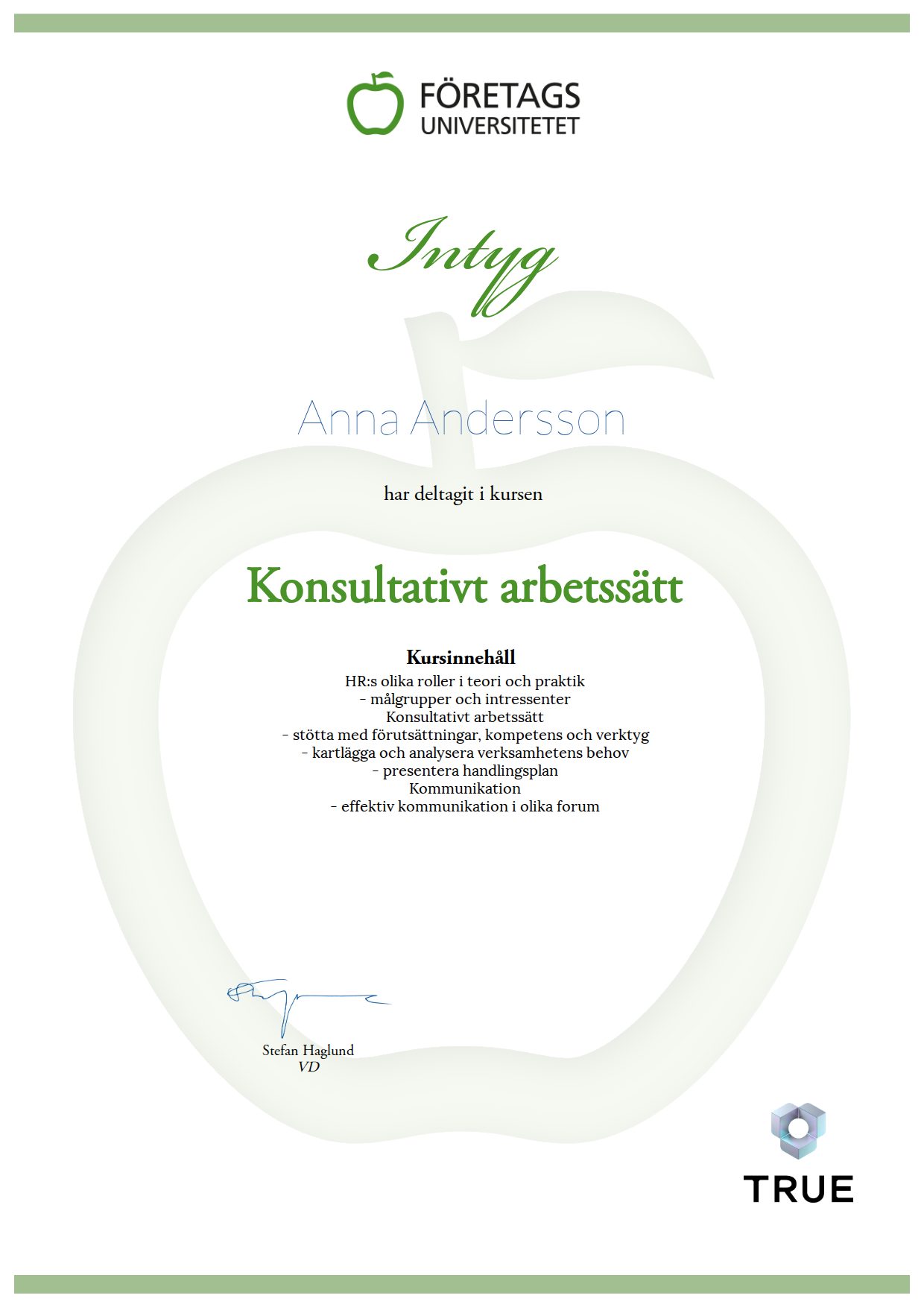 Exempel: diplom för Konsultativt arbetssätt från Företagsuniversitetet