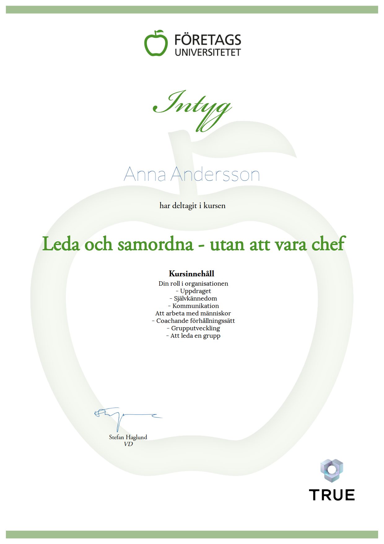 Exempel: diplom för Leda och samordna - utan att vara chef från Företagsuniversitetet