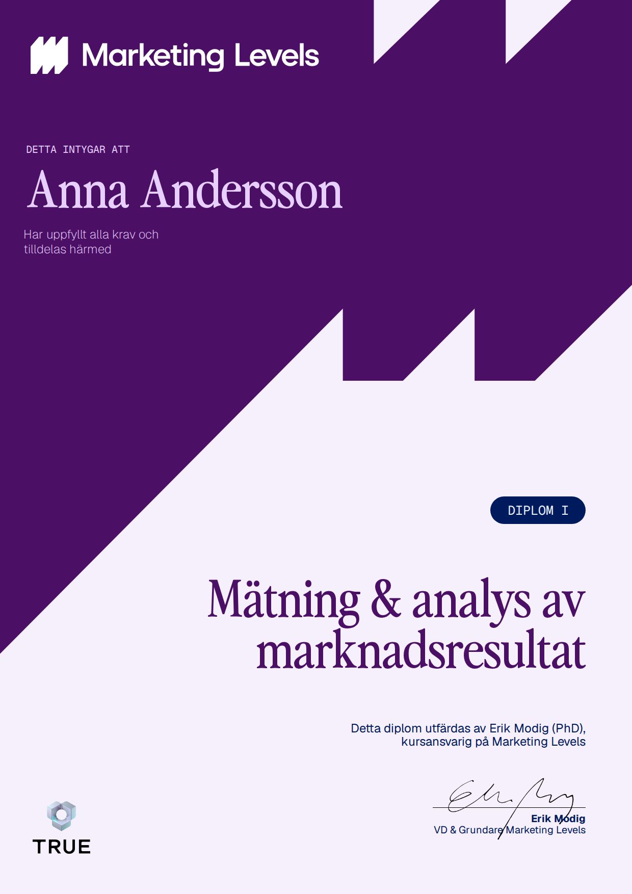Exempel: diplom för Mätning & analys av marknadsresultat från Marketing Levels Sweden AB