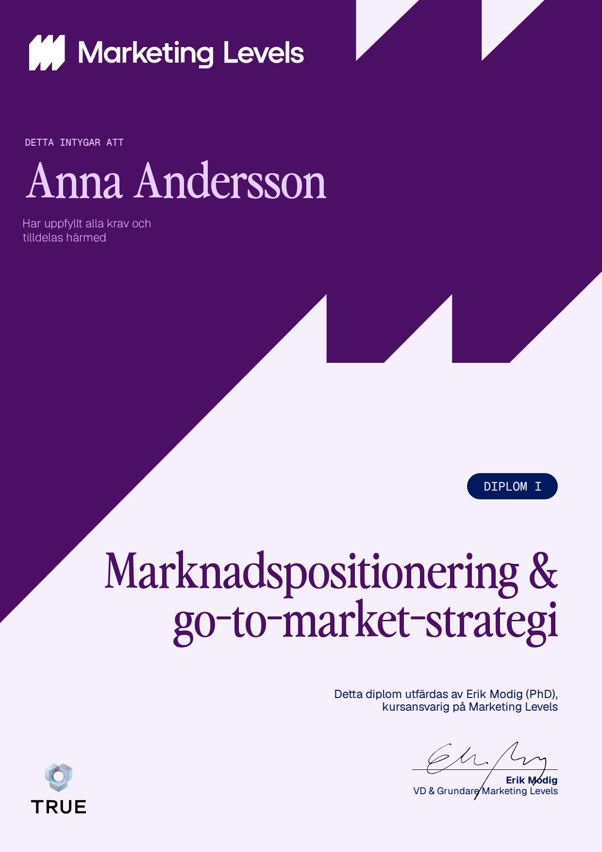 Example certificate for Marknadspositionering & go-to-market-strategi from Marketing Levels Sweden AB