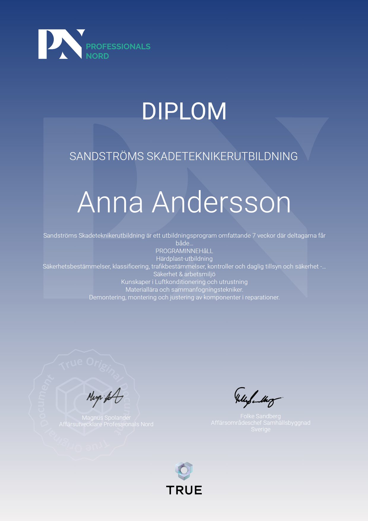 Example certificate for Sandströms skadeteknikerutbildning from Satellite Group / Professionals Nord
